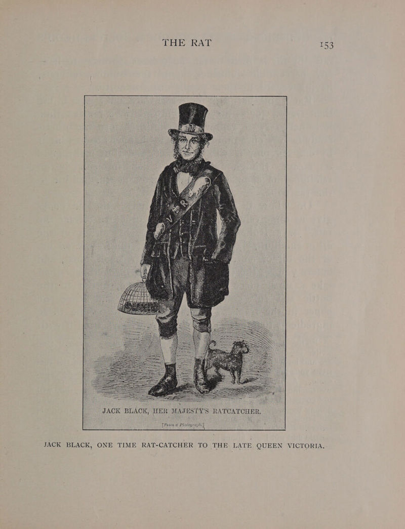 JACK BLACK, PFrotta PAG ONE TIME RAT-CATCHER TO THE. LATE. QUEEN VICTORIA.