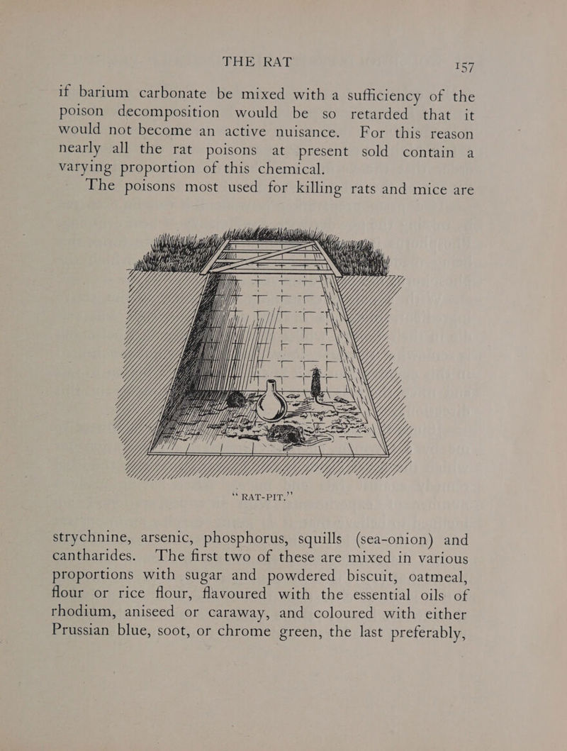 if barium carbonate be mixed with a sufficiency of the poison decomposition would be so retarded that it would not become an active nuisance. For this reason nearly all the rat poisons at present sold contain a varying proportion of this chemical. The poisons most used for killing rats and mice are Mt Ky ) i iy, ie my: iy hz PN MA Hi, My Vi ‘ vi u a | a a yi iif W yy Ls mT) Ya ty Ly WEL Myf Nigel ey ee Y me ““PAT=PIT. strychnine, arsenic, phosphorus, squills (sea- -onion ) and Cantmarides. “Che fie two of these are mixed in various proportions with sugar and powdered biscuit, oatmeal, flour or rice flour, flavoured with the essential oils of rhodium, aniseed or caraway, and coloured with either Prussian blue, soot, or chrome green, the last preferably,