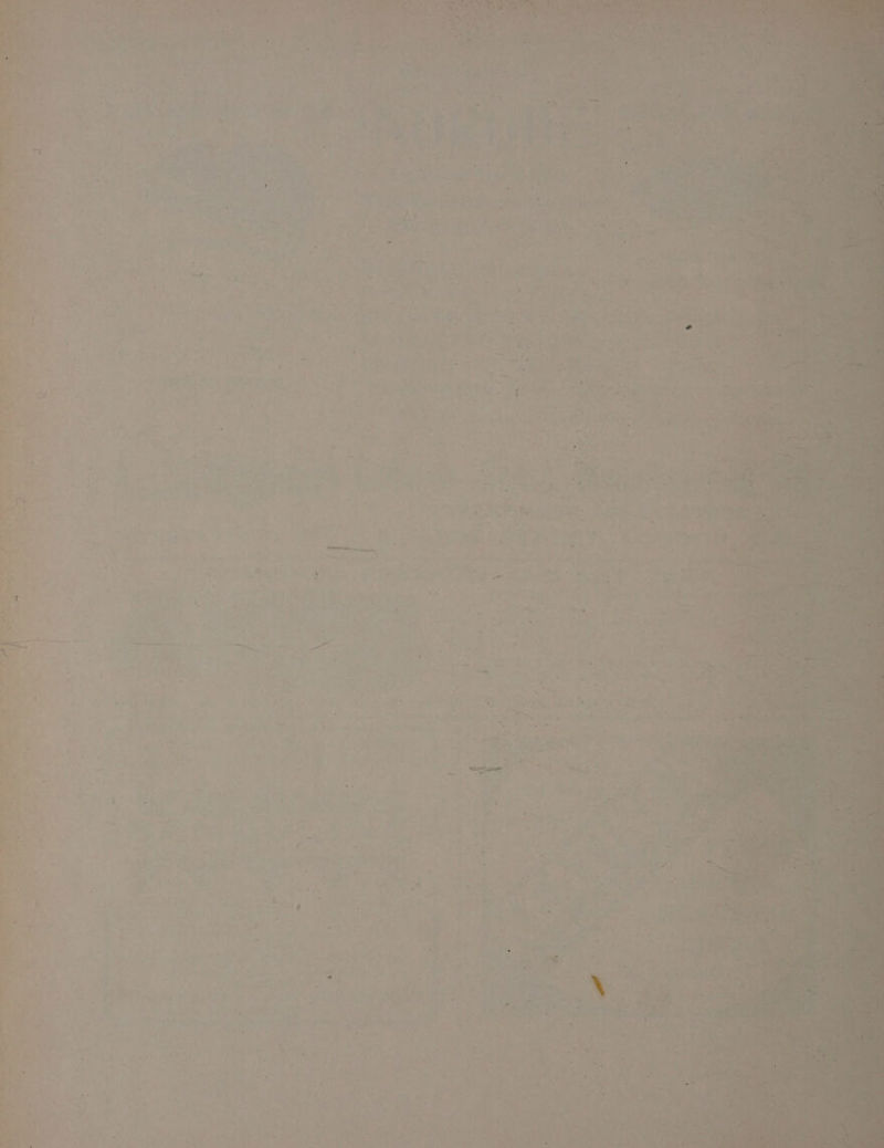 ~ : ’ Jr) . yee m iy Wes “ é ' X ’ * “ , i ' , f 7 — a : 4 ail x a Cl a 4 ol q A Cari ye. ae ¥ ; a . Ve k 4 i  f i ie VF a) ait ~ “| a: iow, = ete ae a Le 7% hen