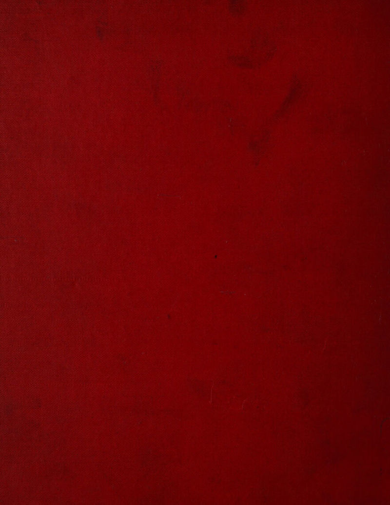 tel ern Diana