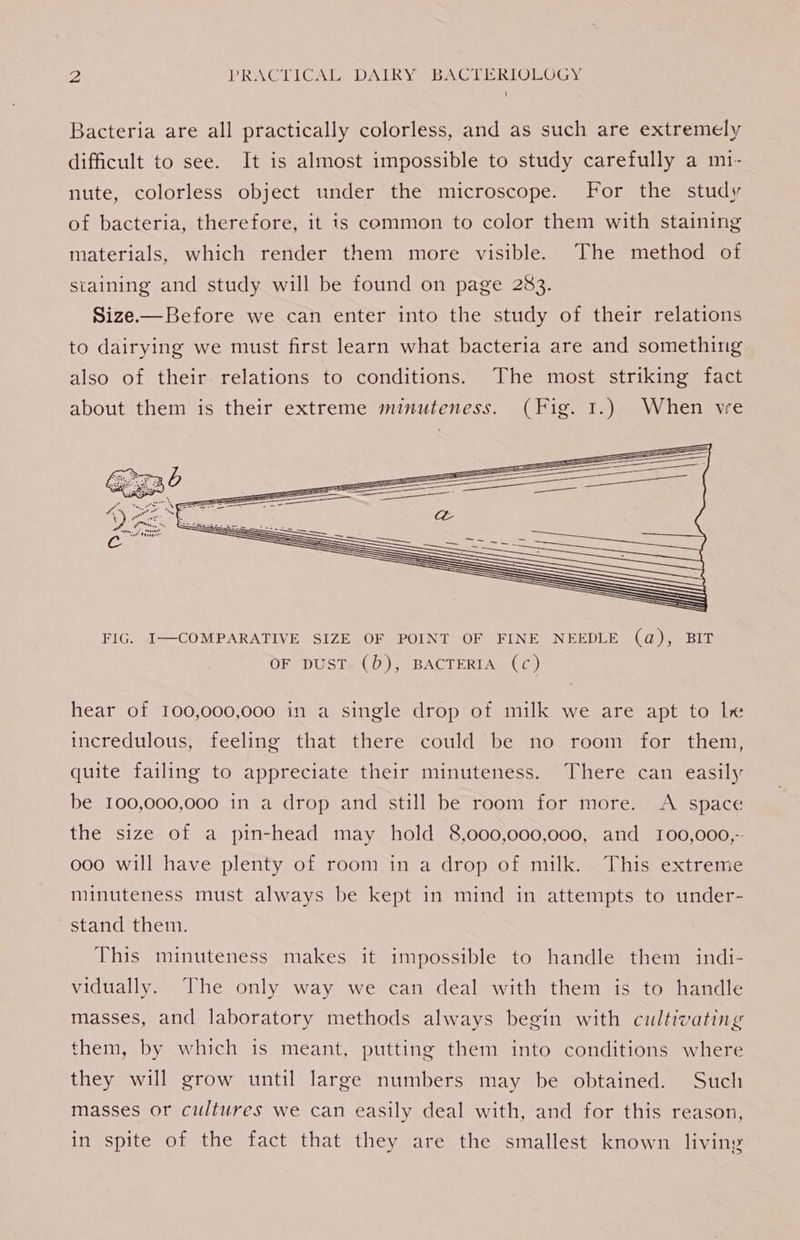 Bacteria are all practically colorless, and as such are extremely difficult to see. It is almost impossible to study carefully a m1- nute, colorless object under the microscope. For the study of bacteria, therefore, it is common to color them with staining materials, which render them more visible. The method of staining and study will be found on page 283. Size-—Before we can enter into the study of their relations to dairying we must first learn what bacteria are and something also of their relations to conditions. The most striking fact about them is their extreme minuteness. (Fig. 1.) When we FIG. I—COMPARATIVE SIZE OF POINT OF FINE NEEDLE (@), BIT OF DUST. (0), BACTERIA (Cc) hear of 100,000,000 in a single drop of milk we are apt to le incredulous, feeling that there could be no room for them, quite failing to appreciate their minuteness. There can easily be 100,000,000 in a drop and still be room for more. &lt;A space the size of a pin-head may hold 8,000,000,000, and 100,000,- 000 will have plenty of room in a drop of milk. This extreme minuteness must always be kept in mind in attempts to under- stand them. This minuteness makes it impossible to handle them indi- vidually. The only way we can deal with them is to handle masses, and laboratory methods always begin with cultivating them, by which is meant, putting them into conditions where they will grow until large numbers may be obtained. Such masses or cultures we can easily deal with, and for this reason, in spite of the fact that they are the smallest known living