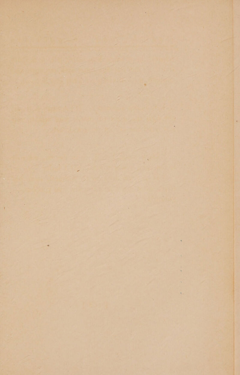 a ra - — J * “ ee ee ee ee ee, ee ee \ al *