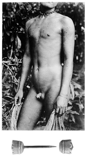 M0000038: Palang (ampallang) beneath a photograph of it in use