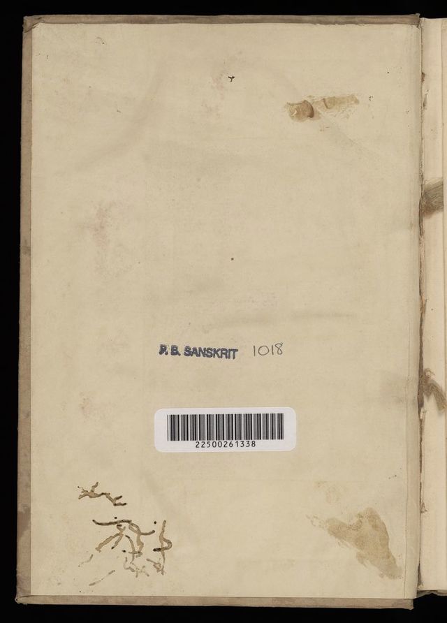 digitised image 2