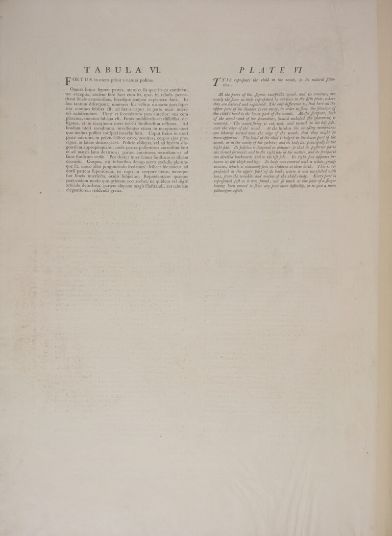 EF OE T US in utero próut a natura pofitus. Omnés hujus figure partes, utero et iis quz in eo continen- tur exceptis, ezedem fere funt cum iis, que, in tabula prace- denti lineis exterioribus, literifque jamjam explanate funt. In hoc tantum difcrepant, nimirum hic veficze urinarie pars fupe- rior omnino fublata eft, ad foetus caput in parte uteri inferi- ori exhibendum. Uteri et fecundarum pars anterior; una cum placenta, omnino fublata eft. Funis umbilicalis eft diffciffus, de- ligatus, et in marginem uteri refecti finiftrorfum reflexus. Ad fundum uteri membranz | inveftientes etiam in marginem uteri quo melius poffint confpici inverfe funt. ^ Caput foetus in uteri parte inferiori, in pelvis fcilicet cavo, ponitur; corpus ejus prz- cipue in latere dextro jacet. Pofitio obliqua, vel ad lineam dia- gonalem appropinquans ; unde partes pofteriores antrorfum funt et ad matris latus dextrum ; partes. anteriores. retrorfum :et ad latus finiftrum verf. Pes dexter inter femur finiftrum et tibiam occurrit. Corpus, uti infantibus denuo utero exclufis plerum- que fit, muco albo pinguiufculo foedatum :: fcilicet hic mucus, ad dorfi partem fuperiorem, ex rugis.in corpore foetus, motuque fuo lineis interfecta, oculis fubjicitur. Reprefentatur . quaeque pars eodem modo quo primum occurrebat, ne quidem vel digiti articulo deturbato, partem aliquam magis illuftrandi, aut tabulam elegantiorem reddendi gratia. - TIS reprefents the child in the womb, in its natural fitua- tion... All the parts of this figure, except the womb, and its contents, are nearly the fame as thofe reprefented by out-lines in the fifth plate, where they are lettered and explained. The only difference is, that here all the upper part of the bladder is cut away, in order to Jhew the fituation of the child's head in the lower part of the womb. All the forepart, both of the womb and of the ecundines, (which included the placenta) is removed. The navel-ftring 1s cut, tied, and turned to the left fide, over the edge of the womb. . At the fundus the invefling membranes are likewife turned over the edge of the womb, that they might be more apparent. The head of the child is lodged in the lower part of the womb, or in the cavity of the pelvis ; and its body lies principally in the Tight fide. Its pofition is diagonal or oblique: fo that its poflerior parts are turned forwards and to the right fide of the mother, and its foreparts are directed backwards and to the left fide. Its right foot appears be- tween ts left thigh and leg. — Its body was covered with a white, greafy mucus, which is commonly feen on children at their birth. Thas is re- prefented at the upper part ‘of its back, where it was interfected with lines, from the wrinkles and motion of the child's body. Every part is reprefented juft as it was found ; not fo much as one joint of a finger having been moved to fhew any part more diffincily, or to give a more prtturefque effect.