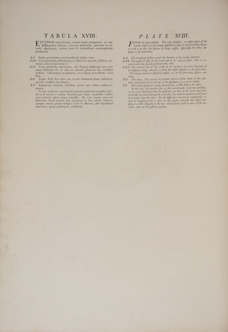 DEM uteri fundus, eodem modo preparatus, ut am- pliffimorum vaforum, venarum prefertim, placentz ex ad- verfo objectarum, crebra inter. fe commiffurze contemplandz proftarent. AA Seétio perfundum uteri tranfverfe ducta; inter AAB Uteri parietem pofteriorem, in ftatu fuo naturali, (fcilicet, pe- ritoneo levi coopertum) et AAC Uteri parietem anteriorem, ubi ftratum fubftantiz ejus exti- mum fublatum eft, ut vafa, ex adverfo placente fita, confpici poffent. Vafa majora et planiora, ut in figura precedenti, venz funt. DD Tube. Poft, five infra eas, ovaria iftiufmodi fitum habebant, qui illa confpici non fineret. EE Ligamenta rotunda, deorfum, paulo ante tubas, curfum te-  nentia. In hoc cadavere, uteri paries anterior pofteriori tumidior fuit ; ita ut fi uterus a vertice deorfum per tubas tranfciffus fuiffet, pars anterior, altera major extitiffet. Re vera tamen, inter eas difcrimen haud tantum fuit, quantum in hac tabula videtur; quippe uterus, paulo oblique oculo fe offerens, plus fuperficiei anterioris, quam pofterioris, exhibebat. T3 OM the fame fuljedl. The very fundus, or upper part of the womb, which was previoufly diffected to fhew in the preceding figure as well as in this, the plexus of large veffels, e[pecially the veins, op- pojite to the placenta. AA The tranfverfe fection acrofs the fundus of the womb, between | AAB The pofterior fide of the womb left in its natural flate; that 15, co- vered with the [mooth peritoneum, and AAC The anterior fide of the womb at its fundus, the outer ftratum of its Jubftance being removed, to fhew the veffels oppofite to the placenta. The larger and more flattened veffels, as in the preceding figure, are veins. DD The tubes. The ovaries lay behind; that 1s, below them in this atlt- tude, and farther from the eye of the [petlator, fo as to be hidden. EE The round ligaments, going downwards, a little before the tubes. ; In this cafe, the anterior fide of the womb made a greater. fwelling, or was more ftretched than the poftertor; fo that if the womb had been vertically cut down through the two tubes, the anterior portion would have been larger than the other. Yet the difference was not je confiderable, as may be imagined from a view of this figure, becaufe the object was placed a little obliquely to the eye, which thence took in more of the an- terior, than of the poflerior furface.