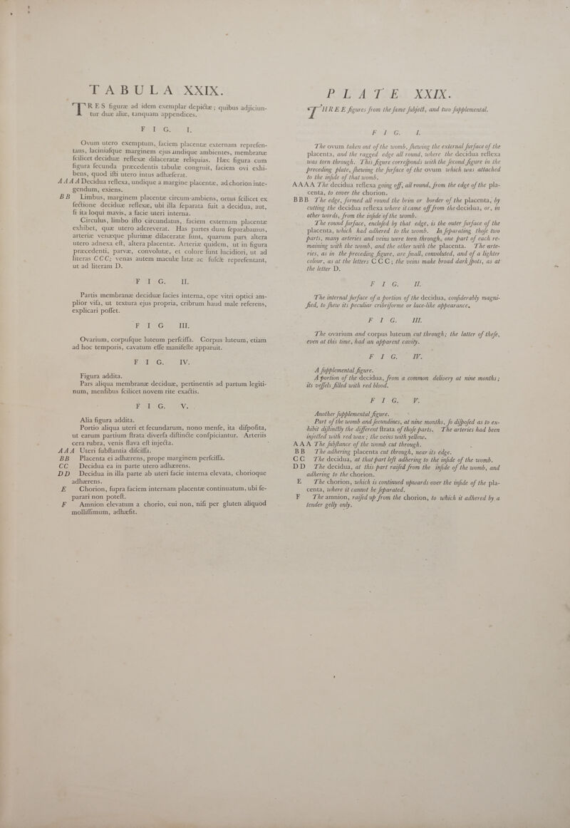 RES figure ad idem exemplar depictee ; quibus adjiciun- tur duz aliz, tanquam appendices. Es o0. I Ovum utero exemptum, faciem placente externam reprefen- tans, laciniafque marginem ejus undique ambientes, membrana {cilicet deciduz reflexze. dilaceratze reliquias. Hzc figura cum figura fecunda precedentis tabula congruit, faciem ovi exhi- bens, quod ifti utero intus adhzeferat. 4 A A A Decidua reflexa, undique a margine placentz, ad chorion inte- gendum, exiens. BB Limbus, marginem placenta circum-ambiens, ortus fcilicet ex fecione deciduz reflexa, ubi illa feparata fuit a decidua, aut, fi ita loqui mavis, a facie uteri interna. Circulus, limbo ifto circundatus, faciem. externam placenta exhibet, qua utero adcreverat. Has partes dum feparabamus, arteri venzque plurima dilaceratz funt, quarum pars altera utero adnexa eft, altera placentz. Arteriz quidem, ut in figura pracedenti, parve, convolute, et colore funt lucidiori, ut ad literas CCC; venas autem macule late ac fufcie reprefentant, ut ad literam D. IOS AG: Il: Partis membrane deciduz facies interna, ope vitri optici am- plior vifa, ut textura ejus propria, cribrum haud male referens, explicari poffet. E FleeG III. Ovarium, corpufque luteum perfciffa. Corpus luteum, etiam ad hoc temporis, cavatum effe manifefte apparuit. ESI. SC. IV. Figura addita. Pars aliqua membrane deciduz, pertinentis ad partum legiti- num, menfibus fcilicet novem rite exactis. FE GC. We Alia figura addita. Portio aliqua uteri et fecundarum, nono menfe, ita difpofita, cera rubra, venis flava eft injecta. AAA. Uteri fubftantia difciffa. BB Placenta ei adherens, prope marginem perfciffa. CC Decidua ea in parte utero adherens. DD Decidua in illa parte ab uteri facie interna elevata, chorioque adherens. Ie Chorion, fupra faciem internam placente continuatum, ubi fe- parari non poteft. , F | Amnion elevatum a chorio, cui non, nifi per gluten aliquod mollifimum, adheefit. ele A. TEL XXIX. à / HREE figures from the fame fubject, and two fubplemental. Fo oubuG I. The ovum taken out of the womb, fhewing the external furface of the placenta, and the ragged edge all round, where the decidua reflexa was torn through. This figure correfponds with the fecond figure in the preceding plate, fhewing the furface of the ovum which was attached to the infide of that womb. AAAA The decidua reflexa going off, all round, from the edge of the pla- centa, £o cover the chorion. BBB The edge, formed all round the brim or. border of the placenta, by cutting the decidua reflexa where it came off from the decidua, or, in other words, from the infide of the womb. The round furface, enclofed by that edge, is the outer furface of the placenta, which had adhered to the womb. In feparating thofe two parts, many arteries and veins were torn through, one part of each re- maining with the womb, and the other with the placenta. The arte- ries, as in. the preceding figure, are [mall, convoluted, and of a lighter colour, as at the letters CGC; the veins make broad dark fpots, as at the letter D. FOE ONG ING The internal furface of a portion of the decidua, confiderably magni- fed, to fhew its peculiar cribriforme or lace-like appearance, IG. I. The ovarium and corpus luteum cut through; the latter of thefe, even at this time, had an apparent cavity. eo Al AG Mv E A fupplemental figure. A portion of the decidua, from a common delivery at nine months ; its ve[fels filled with red blood. PT 0 a Another fupplemental figure. Part of the womb and fecundines, at nine months, Jo difbofed as to ex- hibit diflinétly the different {trata of thofe parts. The arteries had been injetled with red wax ; the veins with yellow. AAA The Jubflance of the womb cut through. BB The adhering placenta cut through, near its edge. CC The decidua, at that part left adhering to the infide of the womb. DD Ze decidua, at this part raifed from the infide of the womb, and adhering to the chorion. E The chorion, which is continued upwards over the infide of the pla- centa, where it cannot be feparated. F = The amnion, razed up from the chorion, to which it adhered by a tender gelly only.