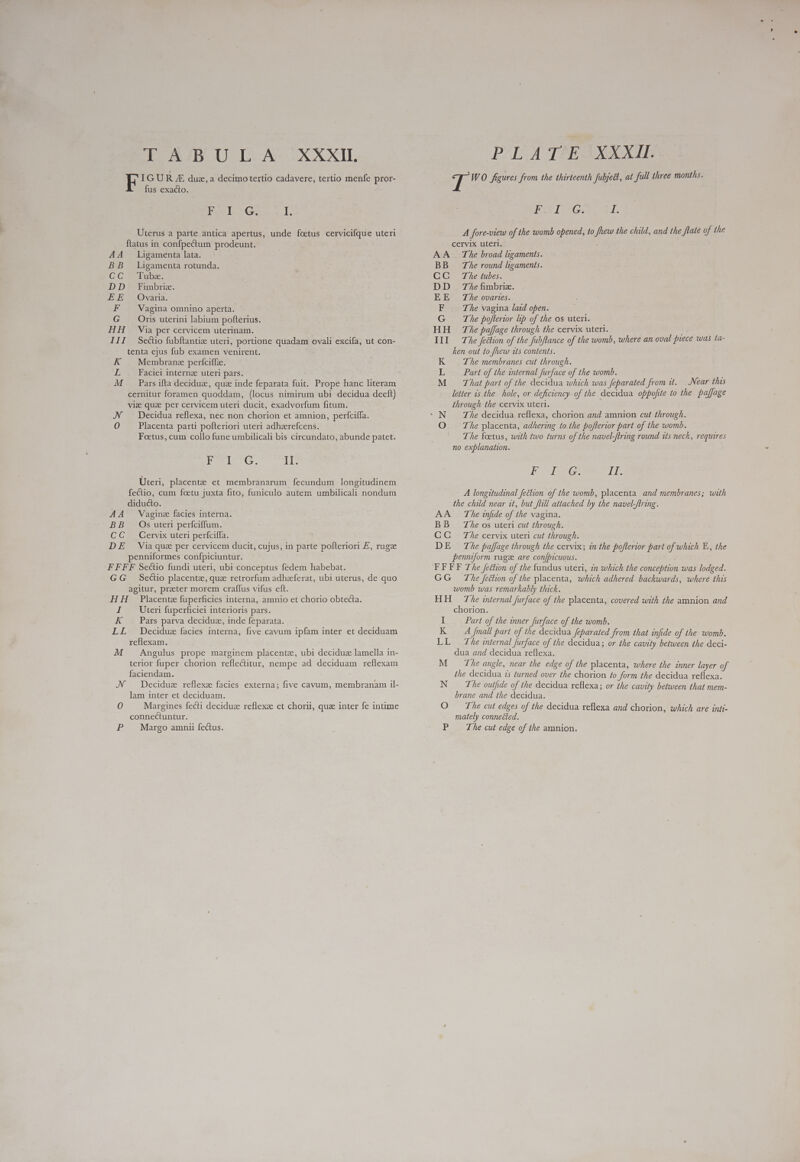 DA ZBOU LAY eX AX, I GU R J£ due, a decimo tertio cadavere, tertio menfe pror- fus exacto. Fun IG, I Uterus a parte antica apertus, unde foetus cervicifque uteri ftatus in confpectum prodeunt. AA Ligamenta lata. BB Ligamenta rotunda. C GN hips: DD Fimbrie. E Ro Ohara. F Vagina omnino aperta. G Oris uterini labium pofterius. HH Via per cervicem uterinam. III Secüo fubftantiz uteri, portione quadam ovali excifa, ut con- tenta ejus fub examen venirent. K . Membrane perfciffz. L Faciei interne uteri pars. cernitur foramen quoddam, (locus nimirum ubi decidua deeft) vie qua per cervicem uteri ducit, exadvorfum fitum. N Decidua reflexa, nec non chorion et amnion, perfciffa. O X Placenta parti pofteriori uteri adhzrefcens. Foetus, cum collo fune umbilicali bis circundato, abunde patet. iso dE eg II. Uteri, placente et membranarum fecundum longitudinem fectio, cum foetu juxta fito, funiculo autem umbilicali nondum diducto. AA Vaginz facies interna. BB Os uteri perfciffum. CC Cervix uteri perfciffa. DE Viaque per cervicem ducit, cujus, in parte pofteriori E, ruge penniformes confpiciuntur. FFFF Sectio fundi uteri, ubi conceptus fedem habebat. GG Seco placente, quz retrorfum adheferat, ubi uterus, de quo agitur, preter morem craffus vifus eft. HH Placente fuperficies interna, amnio et chorio obtecta. T Uteri fuperficiei interioris pars. K Pars parva deciduz, inde feparata. LL Decidue facies interna, five cavum ipfam inter et deciduam reflexam. M . Angulus prope marginem placenta, ubi deciduz lamella in- terior fuper chorion reflectitur, nempe ad deciduam reflexam faciendam. JV Deciduz reflexz facies externa; five cavum, membranam il- lam inter et deciduam. 0 Margines fecti deciduz reflexe et chorii, qua inter fe intime connectuntur. P Margo amnii fectus. PLATE XXXII. T: WO figures from the thirteenth fubjedl, at full three months. FIG I. A fore-view of the womb opened, to fhew the child, and the flate of the cervix uteri. AA The broad ligaments. BB The round ligaments. CC The tubes. DD The fimbriz. EE Ze ovaries. F The vagina laid open. G The pofterior lip of the os uteri. HH The paffage through the cervix uteri. III The fection of the fubflance of the womb, where an oval piece was ta- ken out to fhew its contents. K ZAÀe membranes cut through. L Part of the internal furface of the womb. M = That part of the decidua which was feparated from it. Near thas letter is the hole, or deficiency of the. decidua oppofite to the paffage through the cervix uteri. O The placenta, adhering to.the poflerior part of the womb. The foetus, with two turns of the navel-ftring round its neck, requires no explanation. HOLT TES Tu A longitudinal fection of the womb, placenta and membranes; with the child near it, but fill attached by the navel-ftring. AA The infide of the vagina. BB The os uteri cut through. CC The cervix uteri cut through. DE The paffage through the cervix; in the pofterior part of which E, the penniform ruge are confpicuous. FF FF The fection of the fundus uteri, in which the conception was lodged. GG The fection of the placenta, which adhered backwards, where this womb was remarkably thick. HH = The internal furface of the placenta, covered with the amnion and chorion. I Part of the inner furface of the womb. KA fall part of the decidua feparated from that infide of the womb. LL The internal Jurface of the decidua; or the cavity between the deci- dua and decidua reflexa. M The angle, near the edge of the placenta, where the inner layer of the decidua is turned over the chorion fo form the decidua reflexa. N The outfide of the decidua reflexa; or the cavity between that mem- brane and the decidua. O The cut edges of the decidua reflexa and chorion, which are inti- mately connected. P The cut edge of the amnion.