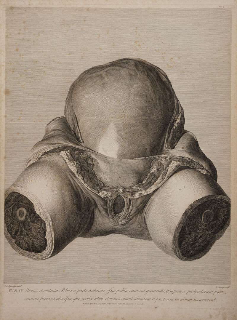 | IN N Wi 7b. ShrangeH ut A loptetoun nente LO fte PY fille LC anteront, optet ful MS, MIM UMP EHE, oy : IU FE Mtg, CU EU . DA t futt 7 fà Vende t pg ntum tucurresent- / / ^ Ip pre em MIU. UITILALT TIL a WAR’) WAU, C0 Vb, f ' It ld d / ) OUTIL [Uerit n ul. /1 f Street Boroudgl “Thomas London Published July 18815. by E.COX and SON.S f