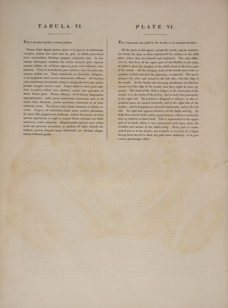 DA B U:L À:; VI: Fervs in utero proüt a natura positus. Omnes hujus figuree partes, utero et iis quze in eo continentur exceplis, ezedem fere sunt cum iis, quae, in tabula precedenti hneis exterioribus, literisque jamjam explanate sunt. In hoc lantum discrepant, nimirum hic vesicee urinarie pars superior omnino sublata est, ad fetus caput in parte uteri inferiori exhi- bendum. Uteri et secundarum pars anterior, una cum placenta, omnino sublata est. Funis umbilicalis est disscissus, deligatus, et in marginem uteri resecti sinistrorsum reflexus. Ad fundum uteri membrane investientes etiam in marginem uteri quo melius possint conspici inverse sunt. Caput fetus in uteri parte infe- riori, in pelvis scilicet cavo, ponitur; corpus ejus praecipue in latere dextro jacet. Positio obliqua, vel ad lineam diagonalem appropinquans; unde partes posteriores antrorsum sunt et ad matris latus dextrum; partes anteriores retrorsum et ad latus sinistrum verse. Pes dexter inter femur sinistrum et tibiam oc- currit. Corpus, uti infantibus denuo utero exclusis plerumque fit, muco albo pinguiusculo foedatum: scilicet hic mucus, ad dorsi partem superiorem, ex rugis in corpore foetus, motuque suo lineis intersecta, oculis subjicitur. Reprasentatur quzeque pars eodem modo quo primum occurrebat, ne quidem vel digiti articulo de- turbato, partem aliquam magis illustrandi, aut tabulam elegan- tiorem reddendi gratia. P-H AW Eva. Tuts represents the child in the womb, in its natural situation. All the parts of this figure, except the womb, and its contents, are nearly the same as those represented by outlines in the fifth plate, where they are lettered and explained. The only differ- ence is, that here all the upper part of the bladder is cut away, in order to shew the situation of the child’s head in the lower part of the womb. All the forepart, both of the womb and of the se- cundines (which included the placenta), is removed. The navel- string is cut, tied, and turned to the left side, over the edge of the womb. At the fundus the investing membranes are likewise turned over the edge of the womb, that they might be more ap- parent. The head of the child is lodged in the lower part of the womb, or in the cavity of the pelvis; and its body lies principally in the right side. Its position is diagonal or oblique; so that its posterior parts are turned forwards, and to the right side of the mother, and its foreparts are directed backwards, and to the left side. Its right foot appears between its left thigh and leg. Its body was covered with a white, greasy mucus, which is commonly seen on children at their birth. This is represented at the upper part of its back, where it was intersected with lines, from the wrinkles and motion of the child’s body. Every part is repre- sented just as it was found ; not so much as one joint of a finger having been moved to shew any part more distinctly, or to give a more picturesque effect.