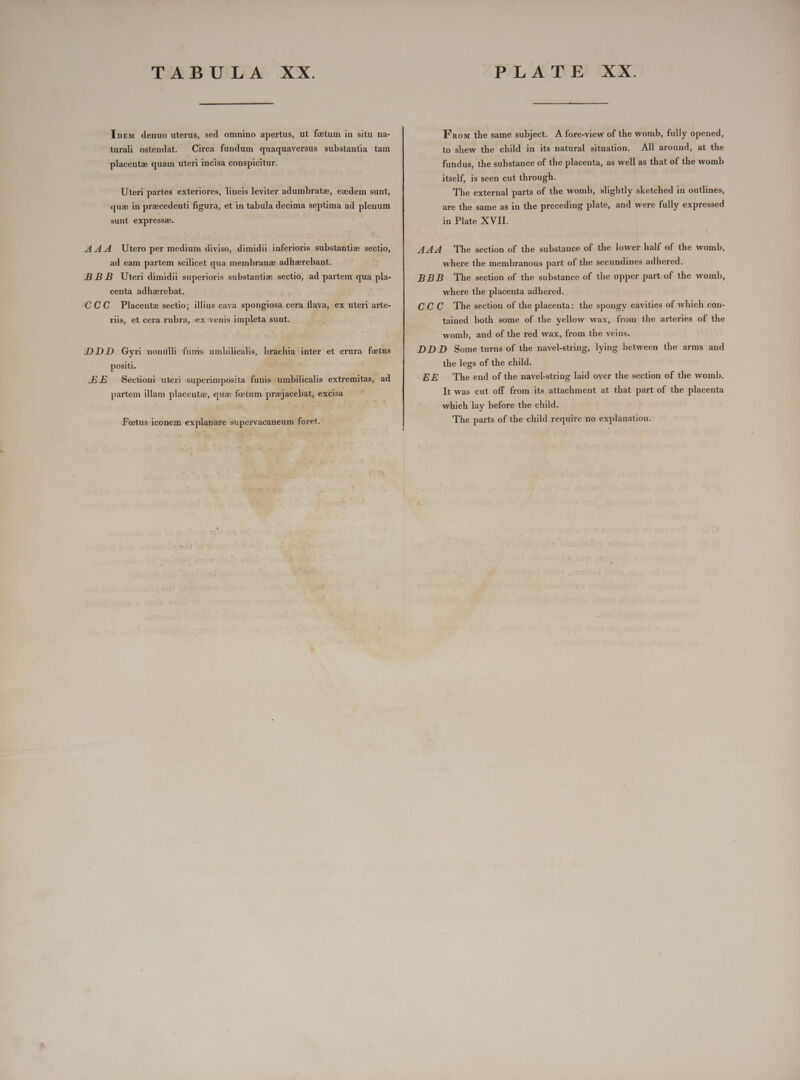  I»z« denuo uterus, sed omnino apertus, ut fetum in situ na- turali ostendat. Circa fundum quaquaversus substantia tam placentee quam uteri incisa conspicitur. Uteri partes exteriores, lineis leviter adumbratz, eadem sunt, que in praecedenti figura, et in tabula decima septima ad plenum sunt expressae. AAA Utero per medium diviso, dimidii inferioris substantia sectio, ad eam partem scilicet qua membrane adhzrebant. BBB Uiteri dimidii superioris substantiz sectio, ad pers qua sl centa adhzrebat. : 'CCC Placentz sectio; illius cava spongiosa cera flava, ex uteri arte- riis, et cera rubra, «ex venis impleta sunt. ‘DDD Gyri nonilli funis umbilicalis, brachia inter et crura foetus positi. hy -E.E Sectioni uteri superimposita funis umbilicalis extremitas, ad partem illam placenta, qua feetum przejacebat, excisa Foetus.1conem explanare supervacaneum foret. From the same subject. A fore-view of the womb, fully opened, to shew the child in its natural situation. All around, at the fundus, the substance of the placenta, as well as that of the womb itself, is seen cut through. The external parts of the womb, slightly sketched in outlines, are the same as in the preceding plate, and were fully expressed in Plate XVII. AAA The section of the substance of the lower half of the womb, where the membranous part of the secundines adhered. BBB The section of the substance of the upper part of the womb, where the placenta adhered. CCC The section of the placenta: the spongy cavities of which con- tained both some of the yellow wax, from the arteries of the womb, and of the red wax, from the veins. DD D Some turns of the navel-string, the legs of the child. EE The end of the navel-string laid over the section of the womb. It was cut off from its attachment at that part of the placenta whieh lay before the child. The parts of the child require no explanation. lying between the arms and