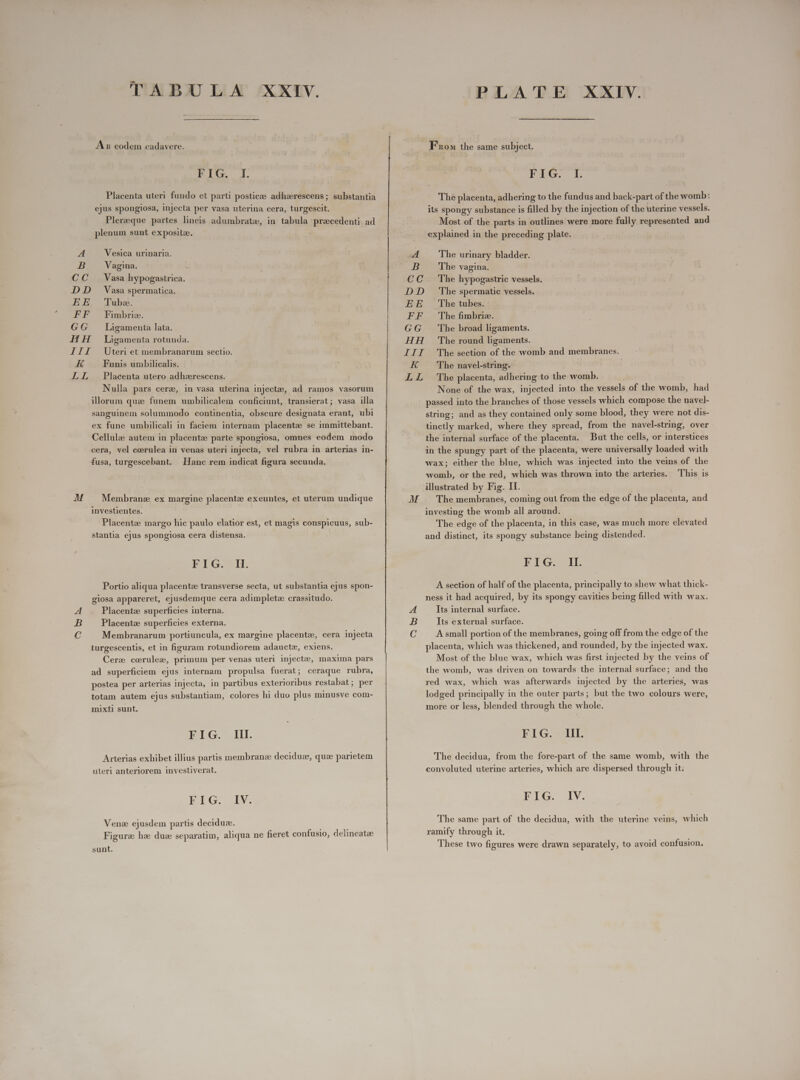 As eodem cadavere. EIT.. d. Placenta uteri fundo et parti posticze adherescens; substantia ejus spongiosa, injecta per vasa uterina cera, turgescit. Plereque partes lineis adumbrate, in tabula precedenti ad plenum sunt expositz. A Vesica urinaria. B Vagina. CC Vasa hypogastrica. DD Vasa spermatica. EE Tuba. FF Fimbrie. GG . Ligamenta lata. HH Ligamenta rotunda. III Uteri et membranarum sectio. K Funis umbilicalis. LL Placenta utero adherescens. M cA Nulla pars cere, in vasa uterina inject, ad ramos vasorum illorum qua funem umbilicalem conficiunt, transierat; vasa illa sanguinem solummodo continentia, obscure designata erant, ubi ex fune umbilicali in faciem. internam placent: se immittebant. Cellulze autem in placentz parte spongiosa, omnes eodem modo cera, vel coerulea in venas uteri injecta, vel rubra in arterias in- fusa, turgescebant. Hanc rem indicat figura secunda. Membrane ex margine placentz exeuntes, et uterum undique investientes. Placente margo hic paulo elatior est, et magis conspicuus, sub- stantia ejus spongiosa cera distensa. F1G. i. Portio aliqua placentz transverse secta, ut substantia ejus spon- giosa appareret, ejusdemque cera adimpletz crassitudo. Placentz superficies interna. Placente superficies externa. Membranarum portiuncula, ex margine placente, cera injecta iurgescentis, et in figuram rotundiorem adaucte, exiens. Cerz cerulez, primum per venas uteri injecte, maxima pars ad superficiem ejus internam propulsa fuerat; ceraque rubra, postea per arterias injecta, in partibus exterioribus restabat; per totam autem ejus substantiam, colores hi duo plus minusve com- mixti sunt. Eno. HI. Arterias exhibet illius partis membrane deciduze, qua parietem uteri anteriorem investiverat. EEG. Ly Venez ejusdem partis deciduz. Figura ha due separatim, aliqua ne fieret confusio, delineate sunt. CC DD EE FE GG HH LLT LL QUA From the same subject. FIG. I. The placenta, adhering to the fundus and back-part of the womb: its spongy substance is filled by the injection of the uterine vessels. Most of the parts in outlines were more fully represented and explained in the preceding plate. The urinary bladder. The vagina. The hypogastric vessels. The spermatic vessels. The tubes. The fimbriz. The broad ligaments. The round ligaments. The section of the womb and membranes. The navel-string. The placenta, adhering to the womb. None of the wax, injected into the vessels of the womb, had passed into the branches of those vessels which compose the navel- string; and as they contained only some blood, they were not dis- tinctly marked, where they spread, from the navel-string, over the internal surface of the placenta. But the cells, or interstices in the spungy part of the placenta, were universally loaded with wax; either the blue, which was injected into the veins of the womb, or the red, which was thrown into the arteries. This is illustrated by Fig. II. The membranes, coming out from the edge of the placenta, and investing the womb all around. 'The edge of the placenta, in this case, was much more elevated and distinct, its spongy substance being distended. FIG. II. A section of half of the placenta, principally to shew what thick- ness it had acquired, by its spongy cavities being filled with wax. Its internal surface. Its external surface. A small portion of the membranes, going off from the edge of the placenta, which was thickened, and rounded, by the injected wax. Most of the blue wax, which was first injected by the veins of the womb, was driven on towards the internal surface; and the red wax, which was afterwards injected by the arteries, was lodged principally in the outer parts; but the two colours were, more or less, blended through the whole. FIG. U1. The decidua, from the fore-part of the same womb, with the convoluted uterine arteries, which are dispersed through it: FIG. IV. The same part of the decidua, with the uterine veins, which ramify through it. These two figures were drawn separately, to avoid confusion.