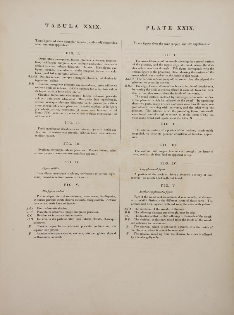 T.A BA DA! XXIOX.  Tres figura ad idem exemplar depicte ; quibus adjiciuntur du alie, tanquam appendices. F Eon Ovum utero exemptum, faciem placentae externam represen- tans, laciniasque marginem ejus undique ambientes, membrane scilicet deciduz reflexa dilaceratze reliquias. — Haec figura cum figura secunda pracedentis tabulae congruit, faciem ovi exhi- bens, quod isti utero intus adheserat. 4444 Decidua reflexa, undique a margine placentz, ad chorion in- tegendum, exiens. BB Limbus, marginem placentz circum-ambiens, ortus scilicet ex sectione deciduz reflexa, ubi illa separata fuit a decidua, aut, si ita loqui mavis, a facie uteri interna. Circulus, limbo isto circundatus, faciem externam placenta exhibet, quee utero adcreverat. Has partes dum separabamus, arterie venzque plurime dilacerate sunt, quarum pars altera utero adnexa est, altera placentz. Arterize quidem, ut in figura precedenti, parvze, convolute, et colore sunt lucidiori, ut ad literas CCC; venas autem macula late ac fuscze representant, ut ad literam D. FIG. II. Partis membranze deciduz facies interna, ope vitri optici am- plior visa, ut textura ejus propria, cribrum haud male referens, explicari posset. BELG. III. Ovarium, corpusque luteum perscissa. Corpus luteum, etiam ad hoc temporis, cavatum esse manifeste apparuit. FIG. IV. Figura addita. Pars aliqua membrane deciduz, pertinentis ad partum legiti- mum, mensibus scilicet novem rite exactis. FIG. V. Aha figura addita. Portio aliqua uteri et secundarum, nono mense, ita disposita, ut earum partium strata diversa distincte conspiciantur. Arteriis cera rubra, venis flava est injecta. AAA _ Uteri substantia discissa. BB Placenta ei adherens, prope marginem perscissa. CC Decidua ea in parte utero adherens. DD Decidua in illa parte ab uteri facie interna elevata, chorioque adherens. E Chorion, supra faciem internam placenta continuatum, ubi separari non potest. F Amnion elevatum a chorio, cui non, nisi per gluten aliquod mollissimum, adheesit. PLATE XXIX.  T unzz figures from the same subject, and two supplemental. FIG. I The ovum taken out of the womb, shewing the external surface of the placenta, and the ragged edge all round, where the deci- dua reflexa was torn through. This figure corresponds with the second figure in the preceding plate, shewing the surface of the ovum which was attached to the inside of that womb. 4444 The decidua reflexa going off, all round, from the edge of the placenta, to cover the chorion. BBB The edge, formed all round the brim or border of the placenta, by cutting the decidua reflexa where it came off from the deci- dua, or, in other words, from the inside of the womb. The round surface, enclosed by that edge, is the outer surface of the placenta, which had adhered to the womb. In separating those two parts, many arteries and veins were torn through, one part of each remaining with the womb, and the other with the placenta. The arteries, as in the preceding figure, are small, convoluted, and of a lighter colour, as at the letters CCC; the veins make broad dark spots, as at the letter D. ETLG. IE The internal surface of a portion of the decidua, considerably magnified, to shew its peculiar cribriform or lace-like appear- ance. BIG C lige The ovarium and corpus luteum cut through; the latter of these, even at this time, had an apparent cavity. EIG-c3SLDV: A supplemental figure. A portion of the decidua, from a common delivery at nine months ; its vessels filled with red blood. FIG. V. Another supplemental figure. Part of the womb and secundines, at nine months, so disposed as to exhibit distinctly the different strata of those parts. The arteries had been injected with red wax, the veins with yellow. AAA ‘The substance of the womb cut through. BB The adhering placenta cut through, near its edge. CC The decidua, at that part left adhering to the inside of the womb. D.D 'The decidua, at this part raised from the inside of the womb, and adhering to the chorion. E The chorion, which is continued upwards over the inside of the placenta, where it cannot be separated. F The amnion, raised up from the chorion, to which it adhered by a tender gelly only.