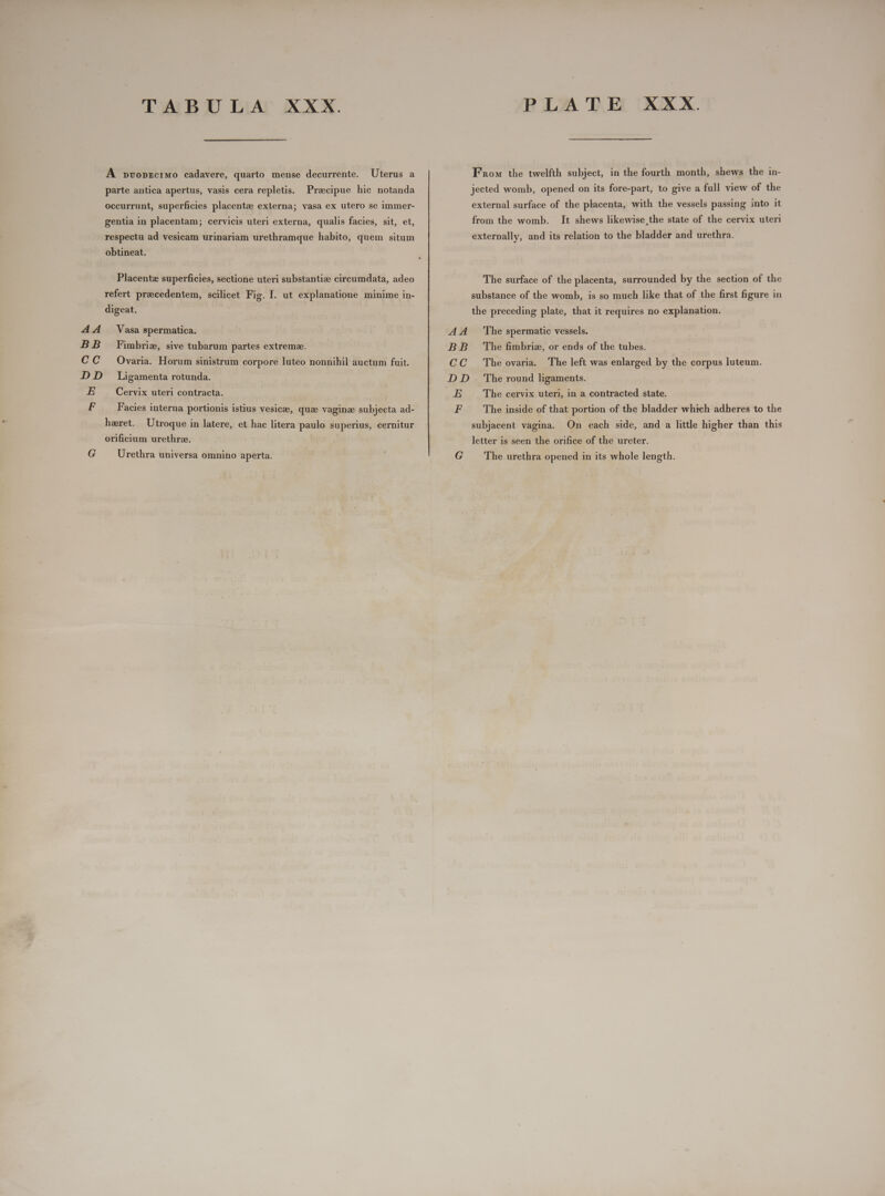AA BB Cc DD E F G TABULA XXX. A pvoprcrMo cadavere, quarto mense decurrente. Uterus a parte antica apertus, vasis cera repletis. Praecipue hic notanda occurrunt, superficies placenta externa; vasa ex utero se immer- gentia in placentam; cervicis uteri externa, qualis facies, sit, et, respectu ad vesicam urinariam urethramque habito, quem situm obtineat. Placentz superficies, sectione uteri substantia circumdata, adeo refert praecedentem, scilicet Fig. I. ut explanatione minime in- digeat, Vasa spermatica. Fimbriz, sive tubarum partes extreme. Ovaria. Horum sinistrum corpore luteo nonnihil auctum fuit. Ligamenta rotunda. Cervix uteri contracta. Facies interna portionis istius vesicze, que vaginze subjecta ad- haeret. Utroque in latere, et hac litera paulo superius, cernitur orificium urethra. Urethra universa omnino aperta. AA BB CC DD E F G PLATE XXX. From the twelfth subject, in the fourth month, shews the in- jected womb, opened on its fore-part, to give a full view of the external surface of the placenta, with the vessels passing into it from the womb. It shews likewise the state of the cervix uteri externally, and its relation to the bladder and urethra. The surface of the placenta, surrounded by the section of the substance of the womb, is so much like that of the first figure in the preceding plate, that it requires no explanation. The spermatic vessels. The fimbriz, or ends of the tubes. The ovaria. The left was enlarged by the corpus luteum. The round ligaments. The cervix uteri, in a contracted state. The inside of that portion of the bladder which adheres to the subjacent vagina. On each side, and a little higher than this letter is seen the orifice of the ureter. The urethra opened in its whole length.