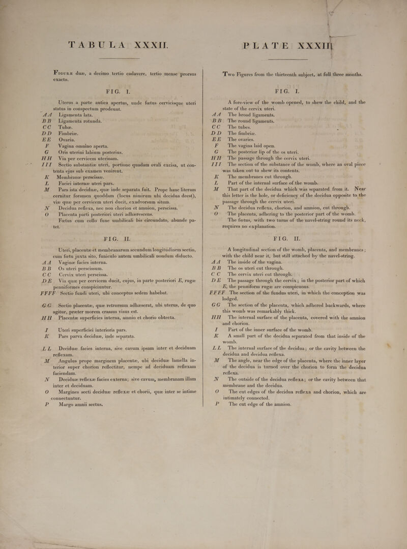Ficurm dus, a decimo tertio cadavere, tertio mense prorsus exacto. FIG. T. Uterus a parte antica apertus, unde foetus. cervicisque uteri M: status in conspectum prodeunt. 44 Ligamenta lata. BB Ligamenta rotunda. CC Ih. DD Fimbrie. EE Ovaria. F Vagina omnino aperta. G Oris uterini labium posterius. HH Via per cervicem uterinam. III Sectio substantiz uteri, portione quadam ovali excisa, ut con- tenta ejus sub examen venirent. Fi Membrane perscissz. L Faciei internae uteri pars. M Pars ista deciduz, que inde separata fuit. Prope hanc literam cernitur foramen quoddam (locus nimiram ubi decidua deest), vie quz per cervicem uteri ducit, exadvorsum situm. N Decidua reflexa, nec non chorion et amnion, perscissa. O Placenta parti posteriori uteri adhzerescens. Feetus cum collo fune umbilicali bis circundato, abunde pa- tet. FIG... bl Uteri, placentz et membranarum secundum longitudinem sectio, cum foetu juxta sito, funiculo autem umbilicali nondum diducto. AA — Vagine facies interna. BB Os uteri perscissum. CC Cervix uteri perscissa. DE_ Via que per cervicem ducit, cujus, in parte posteriori E, ruga penniformes conspiciuntur. FFFF . Sectio fundi uteri, ubi conceptus sedem habebat. GG Sectio placente, que retrorsum adheserat, ubi uterus, de quo agitur, praeter morem crassus visus est. HH . Placentz superficies interna, amnio et chorio obtecta. 24 Uteri superficiei interioris pars. K Pars parva deciduz, inde separata. LL Decidue facies interna, sive cavum ipsam inter et deciduam reflexam. JM . Angulus prope marginem placente, ubi deciduz lamella in- terior super chorion reflectitur, nempe ad deciduam reflexam faciendam. N Deciduz reflexz facies externa; sive cavum, membranam illam inter et deciduam. O Margines secti deciduz reflexz et chorii, que inter se intime connectuntur. ys Margo amnii sectus. l Two Figures from the thirteenth subject, at full three months. Lp aT, A fore-view of the womb opened, to shew the child, and the state of the cervix uteri. AA The broad ligaments. DB B. The round ligaments. CC The tubes. DD The fimbriz. EE The ovaries. F The vagina laid open. G The posterior lip of the os uteri. HH The passage through the cervix uteri. III The section of the substance of the womb, where an oval piece was taken out to shew its contents. Fé The membranes cut through. L Part of the internal surface of the womb. M = 'That part of the decidua which was separated from it. Near this letter is the hole, or deficiency of the decidua opposite to the passage through the cervix uteri. NV The decidua reflexa, chorion, and amnion, cut through. O The placenta, adhering to the posterior part of the womb. The fetus, with two turns of the navel-string round its neck, requires no explanation. EPBG. XE A longitudinal section of the womb, placenta, and membranes ; with the child near it, but still attached by the navel-string. AA The inside of the vagina. BB The os uteri cut through. C C The cervix uteri cut through. DE _ The passage through the cervix; in the posterior part of which E, the penniform rugz are conspicuous. FFFF The section of the fundus uteri, in which the conception was lodged. GG he section of the placenta, which adhered backwards, where this womb was remarkably thick. HH The internal surface of the placenta, covered with the amnion and chorion. T; Part of the inner surface of the womb. K A small part of the decidua separated from that inside of the womb. LL The internal surface of the decidua; or the cavity between the decidua and decidua reflexa. M ‘The angle, near the edge of the placenta, where the inner layer of the decidua is turned over the chorion to form the decidua reflexa. N The outside of the decidua reflexa; or the cavity between that membrane and the decidua. O The cut edges of the decidua reflexa and chorion, which are intimately connected. B The cut edge of the amnion.