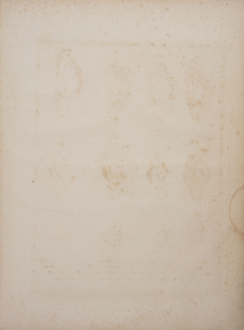   u YN Un -< ^  I * E. UN | j ' “4 -  A. a *.  r] hd , « CAR - * ' L ~ » v E * 3 = * . ^ * ^ A y 4 ) D » D * hi - e * * V . ; '¢ ) '@ — . 1      y a E » ) , E  M - ad LS ) e -  » ’ LI P * , 3 ~ E * ! à ' = B  . dh. Lb H . 2 4 &amp; > * \ | i . ’  ^ « ^ 7 * * » ! + - + E x *  ^ 1 ; . + ye ». - T - if- wwe . “ ‘ > * i E: - B. . - i i - f i ‘ P * ^ a * 4 , , « r 2 ^ o.» e * '  * : } » ie ^ LI &amp; E a - E ] * ’ > - ] - E i : ^ » 5 s b *  a * o ! Ww E » $ NO. H , [| n d » >. woes à n A i v. : &amp; ws VM | » * Á— ^ 7) e bs Pa 4 e j ^ »  a ' , » ! ' F 2 +  . . ‘ i’ ) 4 * - -—i ^ um. ! , ,   3» A. N * » © 4 , E © gs | 7. j A  i «1 t 7 > 4 - 2 Y E  T : - ; . 3 y i , | i |   v * * » A un *  \ n . = Ls T z ^ z ' * 4 - E | ^ 1 I *  v *  E ,  = i , i ° /* . ‘ Et .  wu - . | - - ‘ DOE S . .- is ia . ; « “ i ^ * * ' ON a s ALI . 3c m nn  s, X . ee - eh  ye. ‘ * = ^ A 4 S  k * * M $ó- ™ donee dag - i ; ; : » zie dee u^ ) ah ^ E ws