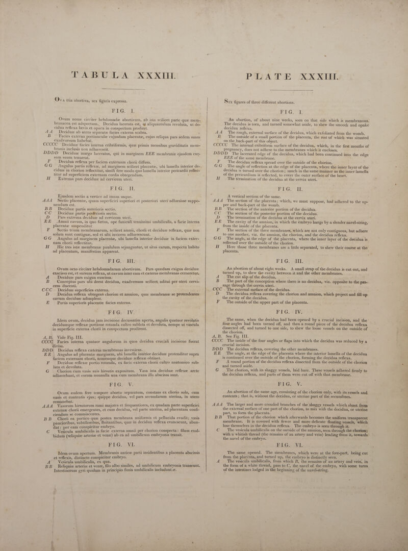  Ova tria aborliva, sex figuris expressa. ID al Ovum none circiter hebdomade abortivum, ab ista scilicet parte que mem- branacea est adspectum.. Decidua lacerata est, et aliquantulum revoluta, ut de- cidua reflexa levis et opaca in conspectum prodiret. 4. Decidux ab utero separate facies externa scabra. : B Facies externa portiunculze cujusdam placenta, cujus reliqua pars sedem suam exadvorsum habebat. CCCCC Decidu:e facies interna cribriformis, que primis mensibus graviditatis mem- branis inclusis non adherescit. DDDD_ Decidue margo laceratus, qui in marginem EEE membranze ejusdem cur- sum suum tenuerat. F Decidua reflexa per faciem externam chorii diffusa. : GG Angulus partis reflexze, ad marginem scilicet placentz, ubi lamella interior de- ciduz in chorion reflectitur, simili fere modo quo lamella interior pericardii reflec- titur ad superficiem externam cordis obtegendam. Hf Extrema pars deciduz ad cervicem uteri. BEG IL Ejusdem sectio a vertice ad imum usque. : 444 Sectio placente, quam superficiei superiori et posteriori uteri adhzesisse suppo- nendum est. BB Deciduz partis anterioris sectio. CC Deciduz partis posterioris sectio. D Pars extrema devidue ad cervicem uteri. EE .Amnii cavum, in quo foetus, ope funiculi tenuissimi umbilicalis, a facie interna placente suspenditur. F . Sectio trium membranarum, scilicet amnii, chorii et deciduz reflexee, que non solum sunt contiguze, sed et sibi invicem adhzrescunt. ! ! GG Angulus ad marginem placentz, ubi lamella interior deciduz in faciem exter- nam chorii reflectitur. ; H Hic tres iste membrane paululum sejunguntur, ut situs earum, respectu habito ad placentam, manifestius appareat, ETG-;]HI Ovum octo circiter hebdomadarum abortivum. Pars quzdam exigua deciduze exscissa est, et sursum reflexa, ut cavum inter eam et ceeteras membranas cerneretur, A _ Deciduz pars exigua exscissa. oa ar B Conceptus pars ubi deest decidua, exadversum scilicet aditui per uteri cervi- cem ducenti. CCC | Decidue superficies externa. D Decidua reflexa obtegens chorion et amnion, qua membrane se protendentes cavum decidue adimplent. E Partis superioris placente facies externa. FIG. IV. Idem ovum, decidua jam incisione decussatim aperta, angulis quatuor revolutis deciduzeque reflexz portione rotunda cultro sublata et devoluta, nempe ut vascula in superficie externa chorii in conspectum prodirent. A, B. Vide Fig. III. ! URP de CCCC Facies interna quatuor angulorum in quos decidua cruciali incisione fuerat divisa. | DDD. Decidua reflexa ceteras membranas invesuens. — EE | Angulus ad placentze marginem, ubi lamella interior decidue protenditur supra faciem externam chorii, nomenque decidue reflexze obtinet. F Deciduz reflex; portio rotunda, ex facie externa chorii cultro anatomico sub- Jata et devoluta. G Chorion cum vasis suis hirsutis expositum. Vasa ista decidue reflexe arcte adhswrebant, et eorum nonnulla una cum membrana illa abscissa sunt. FIG. V. Ovum eodem fere tempore abortu separatum, constans ex chorio solo, cum vasis et contentis ejus; quippe decidua, vel pars secundarum uterina, in utero remanebat. Toc) itt AAA Vasorum hirsutorum rami majores et frequentiores, ex quadam parte superficiei extern; chorii emergentes, et cum decidua, vel parte uterina, ad placentam confi- ciendam se commiscentes. | BB Chori ea portico que postea membrana uniformis et pellucida evadit; vasis paucioribus, subtilioribus, fluitantibus, que in decidua reflexa evanescunt, abun- dat: per eam conspicitur embryo.  G Vesicula umbilicalis in facie externa amnii per chorion conspecta: filum exal- bidum (reliquize arterize et vene) ab ea ad umbilicum embryonis transit. LLG VL Idem ovum apertum. Membranis antice parti insidentibus a placenta abscissis et reflexis, distincte conspicitur embryo. A Vesicula umbilicalis, ex qua. e« * BB Reliquis arteriz et venz, filo albo similes, ad umbilicum embryonis transeunt. Intestinorum gyri quidam in principio funis umbilicalis includuntar.    ex K : Six figures of three different abortions. EIG ae An abortion, of about nine weeks, seen on that side which is membranous. The decidua is torn, and turned somewhat aside, to shew the smooth and opake decidua reflexa. AA _ The rough, external surface of the decidua, which exfoliated from the womb. B The outside of a small portion of the placenta, the rest of which was situated on the back-part of this object. CCCCC The internal cribriform surface of the decidua, which, in the first months of pregnancy, does not adhere to the membranes which it encloses. DDDD The lacerated edge of the decidua, which had been continued into the edge EEE of the same membrane. 1 F The decidua reflexa spread over the outside of the chorion. GG — The angle of reflection at the edge of the placenta, where the inner layer of the decidua is turned over the chorion ; much in the same manner as the inner lamella of the pericardium is reflected, to cover the outer surface of the heart. H The termination of the decidua at the cervix uteri. PIU Ir A vertical section of the same. AAA The section of the placenta; which, we must suppose, had adhered to the up- per and back-part of the womb. BB The section of the anterior portion of the decidua. CC The section of the posterior portion of the decidua. D 'The termination of the decidua at the cervix uteri. EE The cavity of the amnion, in which the embryo hangs by a slender navel-string, from the inside of the placenta. F The section of the three membranes, which are not only contiguous, but adhere to one another, viz. the amnion, the chorion, and the decidua reflexa. GG The angle, at the edge of the placenta, where the inner layer of the decidua is reflected over the outside of the chorion. H Here those three membranes are a little separated, to shew their course at the placenta. FIG. II. An abortion of about eight weeks. A small strap of the decidua is cut out, and turned up, to shew the cavity between it and the other membranes. A . The cut slip of the decidua, B The part of the conception where there is no decidua, viz. opposite to the pas- sage through the cervix uteri. CCC . The external surface of the decidua. D The decidua reflexa covering the chorion and amnion, which project and fill up the cavity of the decidua. X F The outside of the upper part of the placenta. FIG. IV. The same, when the decidua had been opened by a crucial incision, and the ‘ four angles had been turned off, and then a round piece of the decidua reflexa dissected off, and turned to one side, to shew the loose vessels on the outside of the chorion. A,B. See Fig. III. CCCC The inside of the four angles or flaps into which the decidua was reduced by a crucial incision. DDJD The decidua reflexa, covering the other membranes. EE 'The angle, at the edge of the placenta where the interior lamella of the decidua is continued over the outside of the chorion, forming the decidua reflexa. F . Around portion of the decidua reflexa dissected from the outside of the chorion and turned aside. G The chorion, with its shaggy vessels, laid bare. These vessels adhered firmly to the decidua reflexa, and parts of them were cut off with that membrane. Els «Vs An abortion of the same age, consisting of the chorion only, with its vessels and contents ; that is, without the decidua, or uterine part of the secundines. AAA The larger and more crouded branches of the shaggy vessels which shoot from the external surface of one part of the chorion, to mix with the decidua, or uterine part, to form the placenta. BB That portion of the chorion which afterwards becomes the uniform transparent membrane. It is covered with fewer and more delicate floating vessels, which lose themselves in the decidua reflexa. The embryo is seen through it. Cc The vesicula umbilicalis on the outside of the amnion, seen through the chorion; with a whitish thread (the remains of an artery and vein) leading from it, towards the navel of the embryo. ELG VL The same opened. The membranes, which were at the fore-part, being cut from the placenta, and turned up, the embryo is distinctly seen. A The vesicula umbilicalis, from which B, the remains of an artery and vein, in the form of a white thread, pass to C, the navel of the embryo, with some turns of the intestines lodged in the beginning of the navel-string.