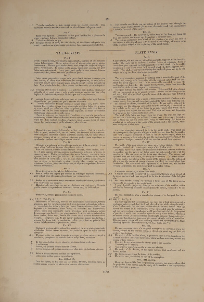 C A on Vesicula umbiliealis in facie exterma amnii per chorion conspecta: filum exalbidum (reliquis arteriz et venze) ab ea ad umbilicum embryonis transit. m Fro. VI. Idem ovum apertum. Membranis antice parti insidentibus a placenta ab- scissis et reflexis, distincte conspicitur embryo. Vesicula umbilicalis, ex qua B AA BB C AA od tboob seunt. Intestinorum gyri quidam in principio funis umbilicalis includuntur. 16 chorion, with a whitish thread (the remains of an artery and vein) leading from it towards the navel of the embryo. Fr. VI. The same opened. The membranes, which were at the fore-part, being cut ^ o nd turned up, the embryo is distinctly seen. D oe o pde * B, the remains of an artery and vem, in the form of a white thread, pass to C, the navel of the embryo, with some turns of the intestines lodged in the beginning of the navel-string.  TABULA XXXIV. Fro. I. Ovvu, scilicet chorion, cum omnibus ejus contentis, quintam, ut licet conjicere, circiter hebdomadam. —Literw, antea usitatz, ad dignoscendas partes, minime desiderantur. Macule qu: maxime fusce sunt, sanguinis coagulati reliquias parvas representant. In medio, globi instar, conspicitur amnion, per quod foetus indistincte apparet. Ovum ipsum haud paululum mole sua complanatum expassumque fuit, coram pictore in patella dum jacebat. Fro. II. Idem ovum preparatum, magna satis parte chori abscissa, amnioque cum foetu incluso, ut partes cirea umbilieum ejus conspicerentur, in latus reflexo, vitri optici ope, ut partes minores magis distincte possent conspici, amplifieatum fuit. Vasa hirsuta fluitantia, ex facie externa chomi exeuntia, per se satis patent. Hoc refertum erat gelatina tenera, adeo pellueida ut vix cerni posset; unde arterie ven:que ramosc, sanguine rubro impletze, in facie interna placent:e distincte per eam conspiciebantur. Amnion liquore pellucido colorisque experte, purissima veluti aqua fontana, distendebatur; per quem foetus partes minores apparebant. Vesicula umbiliealis humore distensa: neque ammio illa, neque chorio connexa fuit; gelatina autem tenera circumdata, umbilico foetus per arteriam et venam, quasi per pedieulum, adnexa; quibus quidem vasis tanta inter se vieinitas fuit, ut vas unum sanguine rubro impletum, et ramos in vesieulam umbiliealem solam emittens, viderentur. Caput fetus trunco ejus longius fuit ; brachia et crura non nisi perpaululum emicuerant; viscera abdominis nondum fuerant vestita ; pars eorum magis fusca hepar fuit: fune umbiliei nondum orto, fcetus faciei intern; chorio et amnii, quze eo loci contigua erant, medio abdomine, adnectebatur. Fre. III. Ovum integrum, quartz hebdomadze, ut licet conjicere. Ovi pars superior, latior, et plana, sacculus fuit, textura tenera, per deciduam solam formatus : huie ad angulos superiores foramen dentatum utrinque fuit, ubi tubas intrasse conjicere licebat ; et ad ovi partem inferiorem portio crassa angustaque ex membranis ommibus contentisque eorum constitit. Fra. IV. Ejusdem ovi, sectione a vertice ad imum ducta aperti, facies interna. totum adhuc fundi uteri formam triangularem retinebat. Pars lata superior, deciduz faciem internam leviorem, cribro similem, osten- dit; et pars angusta inferior, omnium membranarum sectionem cavumque in conspectu ponit. Fectus primordia omnino soluta fuerant. Amnion a chorio sejuncta fuerat, et in cavo ejus fluitabat. Ex duobus ab eodem centro circulis albis, interior est chorii sectio ; cujus in facie externa stratum spongiosum, cui vasa ex chorio se immittunt, cernitur: circulus albus exterior, ad partem inferiorem, deciduam, placentam obtegentem, et ad partem superiorem deciduam reflexam reprzsentat. Ovum Fre. V. Ovum integrum tertiam circiter hebdomadam.  quod seilicet tubze fallopianz extremitatem esse conjicere licet. Exsedem setze per foramen majus exeuntes ad angulum inferiorem, quod cervici uteri exadvorsum esse ponimus. Hydatis, molis admodum exigu:, per deciduam sese projiciens, et filamenta gracilia ramosa ex superficie sua emittens: chorion esse, vix dubitandum. Fic. VI. Idem ovum, maxima parte parietis anterioris excissa. BB,C Vide Fig. V. Manifestum est deciduam, hocce in ovo, membranam fuisse densam, texture glutinosz, quz toti cavo triangulari fundi uteri, tanquam vestimentum, adhzse- rat; constabat etiam tubas in facie ejus interna fuisse terminatas; chorion inter duplicem ejus membranam situm fuisse, vel substantia ejus circundatum; parique passu cum incremento chori, procedente uteri gestatione, cavum decidu:e coarctasse, lamellam ejus interiorem (sive deciduam reflexam) distendens, donee tandem, deleto cavo, lamella illa interna faciei interiori deciduze fuisset contigua. Progressus hie, de quo agitur, mutationis planius intelligetur, si proximze his figure inter se conferantur, ordine earum inverso, primo scilicet nonam, deinde octavam, et postremo septimam. Fic. VII. Status ovi (qualem scilicet animo licet concipere) in utero :etate provectioris, ubi chorion, decidua reflexa obtectum, per plurimum spatii in cayum deciduze porrigitur. Deciduz sectio, ubi certo temporis progressu, lamellam externam duplicis membranz, spongiosum vel nothum chorion vulgo dictze, confecisset. In hoc loco, decidua partem placentze, uterinam dietam confecisset. Amnii cavum. Cavum, vel spatium, amnion inter et chorion. Cavum deciduz, vel spatium membranam illam inter et deciduam reflexam. Tub: in faciem internam decidu:e sese aperientes. Cervix uteri nullam partem ovi continens. Fre. VIII. et IX. Dus» h: figure, in hoe fere solo ab ultima differunt, nimirum chori in decidu: cavum projectio eo minor est, quo ovum retate minus. PLATE XXXIV. Fre. I. chorion, with all its ET ip geri to be pie us . fhe parts will be understood without letters oi reierence. I eR rut pol represent the little remnants of clotted blood. In the de the amnion is seen like a round ball, through which the foetus appears 1mcis- tinetly. The whole object was considerably flattened and spread out by its own weight, as it lay in a little dish before the painter. Fre. II. The same conception, prepared by cutting away a considerable part of Mie chorion, and turning aside the amnion with the enclosed fcetus, that the parts about the navel might be seen. lt is considerably magnified, to show the small parts more distinetly. The shaggy floating vessels, which shoot. from the outer surface of the chorion, require no explanation. j iie This was filled with a tender jelly, so transparent as to be almost invisible: whence the branching arteries and veins, filled with red blood, upon the inside of the placenta, were distinctly seen through it. : The amnion, distended with a liquor as transparent and void of colour as the clearest water ; through which the minute parts of the foetus were distinctly seen. The vesieula umbilicalis, distended with a fluid. It was neither attached to the amnion nor the chorion; surrounded with the tender jelly E connected, as by a pedicle, to the navel of the foetus by an artery and a vein, which lay so close together as to appear like one vessel filled with red blood, and dispersing its branches on the vesicula umbilicalis alone. The head of the foetus was longer than the trunk: the arms and legs had shot out but a little way; the abdominal viscera were not covered ; the darker part of these was the red liver: there being no navel-string, the foetus was attached at its abdomen to the inside of the amnion and of the chorion, which were contiguous at that place. A coNGEPTION, viz. the F1c. III. An entire conception, supposed to be in the fourth week. The broad and flat upper part of the object was a bag of a tender texture, formed of the decidua only, with a ragged perforation at each of the two upper angles, where the tubes were suppose to have entered ; and the thick and narrow portion, at the lower part of the object, consisted of all the membranes and their contents. Fia. IV. The inside of the same object, laid open by a vertical section. conception retained still the triangular shape of the fundus uteri. 'The broad upper part shows the smoother and cribriform internal surface of the decidua ; and the narrow part below shows the section and cavity of all the membranes. The rudiments of the fostus were dissolved. The amnion had separated from, and lay loose in, the cavity of the chorion. Of thetwo concen- trie white circles, the mterior is the section of the chorion, upon the outside of which is seen the stratum of spongy substance into which the vessels shoot from the chorion. The outer white circle represents, at its lower part, the decidua covering the placenta, and at its upper part the decidua reflexa. Fre. V. A complete conception, of about three weeks. The whole the upper angles, which was supposed to be the termination of the fallopian tube. C supposed to be opposite to the cervix uteri. A small hydatide, projecting through the substance of the decidua, which had slender branching filaments shooting from the surface, supposed to be the chorion. Fic. VI. e same conception, after a considerable portion of its fore-part had been eut oft. B C D E It plainly appears that the decidua, in this case, was a thick membrane (of a gelatinous texture) which had lined and adhered to the whole triangular cavity of the fundus uteri; that the tubes terminated on its internal surface; that the chorion was lodged in its duplicature, or was surrounded with its substance ; and that in proportion as the chorion would have been extended, in the progress of gestation, it would have eneroached upon the cavity of the decidua, stretching its interior lamella (or decidua reflexa), till at length the cavity being obliterated, that interior lamella would have come into contact with the inside of the decidua. This progressive change will be more clearly understood by comparing the three following figures in the inverted order, viz. IX., VIIL, and VII. Fic. VII. The more advanced state of a supposed conception in the womb, when the chorion, covered by the decidua reflexa, is stretched a great way out ito the cavity of the decidua. The section of the decidua, where, in process of time, it would constitute the external lamella of the double membrane, which has been commonly named the spongy or false chorion. Here the decidua constitutes the uterine part of the placenta, The cavity of the amnion. The cavity or space between the amnion and chorion. The cavity of the decidua, or the space between that membrane and the decidua reflexa. G The cervix uteri, containing no part of the conception. Fras. VIIL and IX. mia Ben : cete These two figures differ from the preceding almost in this respect alone, that the projection of the chorion into the cavity of the decidua is less in proportion as the conception is younger.