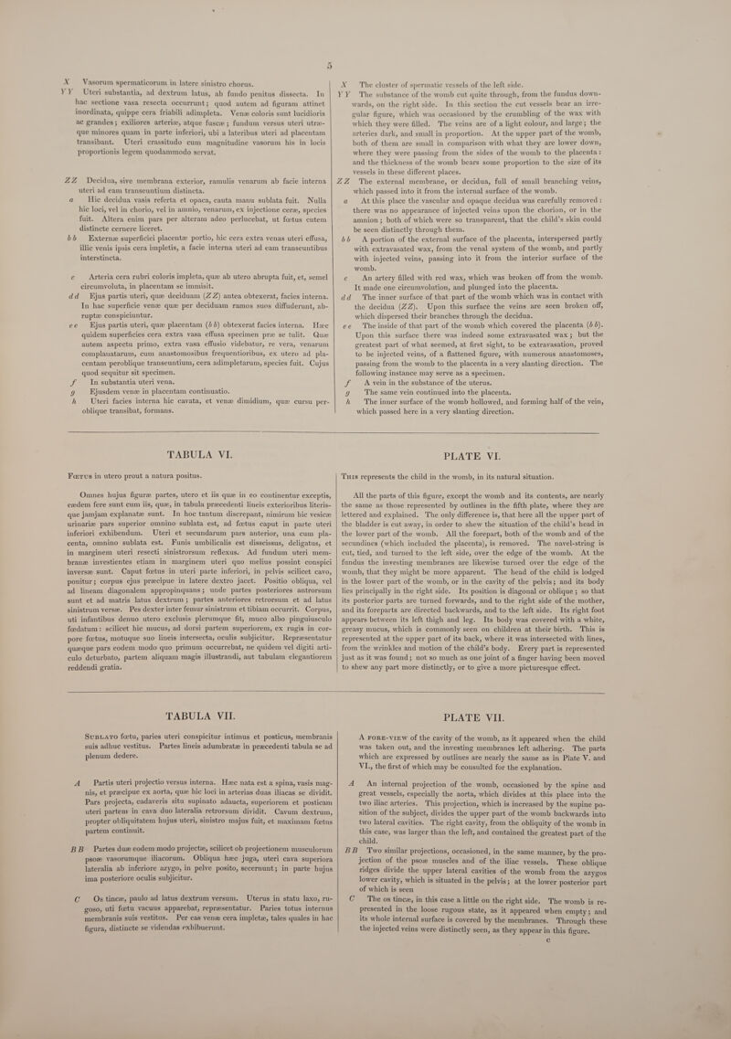 X -Vasorum spermaticorum in latere sinistro chorus. YY Uteri substantia, ad dextrum latus, ab fundo penitus dissecta. In hac sectione vasa resecta occurrunt; quod autem ad figuram attinet inordinata, quippe cera friabili adimpleta. Ven coloris sunt lucidioris ac grandes; exiliores arteriz, atque fusca ; fundum versus uteri utra- que minores quam in parte inferiori, ubi a lateribus uteri ad placentam transibant. Uteri crassitudo cum magnitudine vasorum his in locis proportionis legem quodammodo servat. ZZ _ Decidua, sive membrana exterior, ramulis venarum ab facie interna uteri ad eam transeuntium distincta. a Hie decidua vasis referta et opaca, cauta manu sublata fuit. Nulla hic loci, vel in chorio, vel in amnio, venarum, ex injectione cere, species fuit. Altera enim pars per alteram adeo perlucebat, ut foetus cutem distincte cernere liceret. Externe superficiei placenta portio, hic cera extra venas uteri effusa, illic venis ipsis cera impletis, a facie interna uteri ad eam transeuntibus interstincta. bb ce Arteria cera rubri coloris impleta, que ab utero abrupta fuit, et, semel circumvoluta, in placentam se immisit. dd jus partis uteri, que deciduam (Z Z) antea obtexerat, facies interna. In hac superficie venze que per deciduam ramos suos diffuderunt, ab- ruptz conspiciuntur. Ejus partis uteri, que placentam (46) obtexerat facies interna. Hee quidem superficies cera extra vasa effusa specimen pre se tulit. Que autem aspectu primo, extra vasa effusio videbatur, re vera, venarum complanatarum, cum anastomosibus frequentioribus, ex utero ad_pla- centam peroblique transeuntium, cera adimpletarum, species fuit. Cujus quod sequitur sit specimen. In substantia uteri vena. Ejusdem venz in placentam continuatio. h Uteri facies interna hic cavata, et venz dimidium, que cursu per- oblique transibat, formans. ee QBN,  X The cluster of spermatic vessels of the left side. YY The substance of the womb cut quite through, from the fundus down- wards, on the right side. In this section the cut vessels bear an irre- cular figure, which was occasioned by the crumbling of the wax with which they were filled. The veins are of a light colour, and large; the arteries dark, and small in proportion. At the upper part of the womb, both of them are small in comparison with what they are lower down, where they were passing from the sides of the womb to the placenta: and the thickness of the womb bears some proportion to the size of its vessels in these different places. The external membrane, or decidua, full of small branching veins, which passed into it from the internal surface of the womb. a At this place the vascular and opaque decidua was carefully removed : there was no appearance of injected veins upon the chorion, or in the amnion ; both of which were so transparent, that the child’s skin could be seen distinctly through them. A portion of the external surface of the placenta, interspersed partly with extravasated wax, from the venal system of the womb, and partly with injected veins, passing into it from the interior surface of the womb. c An artery filled with red wax, which was broken off from the womb. It made one circumvolution, and plunged into the placenta. The inner surface of that part of the womb which was in contact with the decidua (ZZ). Upon this surface the veins are seen broken off, which dispersed their branches through the decidua. The inside of that part of the womb which covered the placenta (4 4). Upon this surface there was indeed some extravasated wax; but the ZZ bb dd ee  greatest part of what seemed, at first sight, to be extravasation, proved to be injected veins, of a flattened figure, with numerous anastomoses, passing from the womb to the placenta in a very slanting direction. The following instance may serve as a specimen. A vein in the substance of the uterus. The same vein continued into the placenta. The inner surface of the womb hollowed, and forming half of the vein, which passed here in a very slanting direction. rey  TABULA VI. Ferus in utero prout a natura positus. Omnes hujus figure partes, utero et iis que in eo continentur exceptis, eedem fere sunt cum lis, que, in tabula precedenti lineis exterioribus literis- que jamjam explanate sunt. In hoc tantum discrepant, nimirum hic vesice urinarie pars superior omnino sublata est, ad foetus caput in parte uteri inferiori exhibendum. Uteri et secundarum pars anterior, una cum pla- centa, omnino sublata est. Funis umbilicalis est disscissus, deligatus, et in marginem uteri resecti sinistrorsum reflexus. Ad fundum uteri mem- brane investientes etiam in marginem uteri quo melius possint conspici inverse sunt. Caput foetus in uteri parte inferiori, in pelvis scilicet cavo, ponitur; corpus ejus precipue in latere dextro jacet. Positio obliqua, vel ad lineam diagonalem appropinquans; unde partes posteriores antrorsum sunt et ad matris latus dextrum; partes anteriores retrorsum et ad latus sinistrum verse. Pes dexter inter femur sinistrum et tibiam occurrit. Corpus, uti infantibus denuo utero exclusis plerumque fit, muco albo pinguiusculo foedatum: scilicet hic mucus, ad dorsi partem superiorem, ex rugis in cor- pore foetus, motuque suo lineis intersecta, oculis subjicitur. Representatur queque pars eodem modo quo primum occurrebat, ne quidem vel digiti arti- culo deturbato, partem aliquam magis illustrandi, aut tabulam elegantiorem reddendi gratia.  PLATE VI. Tuis represents the child in the womb, in its natural situation. All the parts of this figure, except the womb and its contents, are nearly the same as those represented by outlines in the fifth plate, where they are lettered and explained. The only difference is, that here all the upper part of the bladder is cut away, in order to shew the situation of the child’s head in the lower part of the womb. All the forepart, both of the womb and of the secundines (which included the placenta), is removed. The navel-string is cut, tied, and turned to the left side, over the edge of the womb. At the fundus the investing membranes are likewise turned over the edge of the womb, that they might be more apparent. The head of the child is lodged in the lower part of the womb, or in the cavity of the pelvis; and its body lies principally in the right side. Its position is diagonal or oblique ; so that its posterior parts are turned forwards, and to the right side of the mother, and its foreparts are directed backwards, and to the left side. Its right foot appears between its left thigh and leg. Its body was covered with a white, greasy mucus, which is commonly seen on children at their birth. This is represented at the upper part of its back, where it was intersected with lines, from the wrinkles and motion of the child’s body. Every part is represented just as it was found; not so much as one joint of a finger having been moved to shew any part more distinctly, or to give a more picturesque effect.   TABULA VII. Susiaro feetu, paries uteri conspicitur intimus et posticus, membranis suis adhuc vestitus. Partes lineis adumbrate in precedenti tabula se ad plenum dedere. Partis uteri projectio versus interna. Hec nata est a spina, vasis mag- nis, et pracipue ex aorta, que hic loci in arterias duas iliacas se dividit. Pars projecta, cadaveris situ supinato adaucta, superiorem et posticam uteri partem in cava duo lateralia retrorsum dividit. Cavum dextrum, propter obliquitatem hujus uteri, sinistro majus fuit, et maximam foetus partem continuit. BB Partes due eodem modo projecte, scilicet ob projectionem musculorum psoe vasorumque iliacorum, Obliqua hee juga, uteri cava superiora lateralia ab inferiore azygo, in pelve posito, secernunt; in parte hujus ima posteriore oculis subjicitur. C Os tince, paulo ad latus dextrum versum. Uterus in statu laxo, ru- goso, uti foetu vacuus apparebat, representatur. Paries totus internus membranis suis vestitus. Per eas vene cera impletw, tales quales in hac figura, distincte se videndas exhibuerunt. PLATE VII. A FoRE-viEWw of the cavity of the womb, as it appeared when the child was taken out, and the investing membranes left adhering. The parts which are expressed by outlines are nearly the same as in Plate V. and VI., the first of which may be consulted for the explanation. An internal projection of the womb, occasioned by the spine and great vessels, especially the aorta, which divides at this place into the two iliac arteries. This projection, which is increased by the supine po- sition of the subject, divides the upper part of the womb backwards into two lateral cavities. The right cavity, from the obliquity of the womb in this case, was larger than the left, and contained the greatest part of the child.  BB Two similar projections, occasioned, in the same manner, by the pro- jection of the psow muscles and of the iliac vessels. These oblique ridges divide the upper lateral cavities of the womb from the azygos lower cavity, which is situated in the pelvis; at the lower posterior part of which is seen The os tince, in this case a little on the right side. The womb is re- presented in the loose rugous state, as it appeared when empty; and its whole internal surface is covered by the membranes. Through these the injected veins were distinctly seen, as they appear in this figure. ©