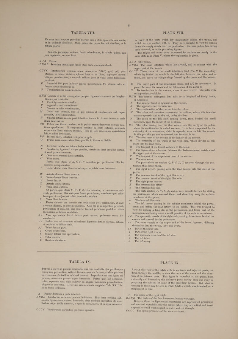 PARTEs proxime post gravidum uterum site ; utero ipso sede sua amoto, et in pudenda devoluto. Ossa pubis, &amp;c. prius fuerant abscissa, ut in tabula quarta. Femora, partesque ceteras lineis adumbratas, in tabula quinta jam jam explanata, cernere licet. AAA Uterus. BBBB Intestina tenuia que fundo uteri arcte circumjacebant. CCCC Intestinorum tenuium (cum mesenterio DDD) gyri, qui, post uterum, in latere sinistro, spinam inter et os ilium, supraque partem oblique prominentem, e musculo scilicet psoa et vasis iliacis formatam, jacebant. £ Intestini ilei pars inferior (cujus mesenterium F), uterum inter et furcam aorte decurrens ad G Terminationem suam in cxco. HHH Cecum in cellas corrugatum propter ligamenta carnosa per longitu- dinem ejus tendentia. I Ceci ligamentum anterius. K Appendix ceci vermiformis. £ Czcum in colon continuatum. M Colon cum omento, loco in quo sursum et sinistrorsum sub hepar ascendit, lineis adumbratum. N Sinistri lateris colon, post intestina tenuia in faciem internam ossis ilium descendens. OO Colon vasa iliaca transiens, et in pelvis cavum decurrens rectum con- tinuo appellatum. Id suspensum cernitur de parte extrema mesocoli, supra vasa iliaca sinistra expansi. Hoc in loco intestinum coarctatum fuit, et adipe involutum. PP In cavo sacri, intestini recti priores gyri. Q = Trunci venz cave extremitas, que hic in iliacas se dividit. R Vertebree lumborum infime facies anterior. S Substantia, ligamenti natura preedita, vertebram inter proxime dictam et sacri partem summam. T Ossis sacri summi facies anterior. U Vena sacra. Partes que literis Q, R, S, 7, U notantur, per peritoneum illis in- cumbens conspiciuntur. V Ureter dexter vasa iliaca transiens, et in pelvis latus decurrens. Arteriz dextre iliace truncus. Vene dextre iliace truncus. Psoas dexter. Arteria iliaca externa. Vena iliaca externa. Ut partes, que literis V7, W, Y, Z, et a notantur, in conspectum veni- rent, peritoneum illas obtegens fuerat perscissum, membranaque cellu- losa que circumjacebat cultro anatomico sublata. b Vena iliaca interna. Ureter sinister per membranam cellulosam post peritoneum, et ante arteriam iliacam, ad pelvim transiens. Quo hic in conspectum prodiret, peritoneum et mesocoli pars inferior fuerant perscissa, paululum etiam membrane cellulosz sublatum. dd Vasa spermatica dextri lateris post caecum, peritoneo tecta, de- scendentia. ee adem vasa ad terminum superiorem ligamenti lati, in uterum, tubam, et ovarium se diffundentia. Tube dextre pars. g Ovarii dextri pars. h Sinistri lateris vasa spermatica. 2 Tuba sinistra. &amp; Ovarium sinistrum. RNAS A view of the parts which lay immediately behind the womb, and which were in contact with it. They were brought to view by turning down the empty womb over the pudendum; the ossa pubis, &amp;c. having been removed, as in the preceding figures. The thighs and other parts expressed by outlines are nearly in the same state as in Plate V. where the explanation is given. AAA The womb. BBBB The small intestines which lay around, and in contact with the upper part of the womb. | CCCC Those turns of the small intestines (and DDD the mesentery) which lay behind the womb in the left side, between the spine and os ilium, and above the oblique ridge formed by the psoas and iliac vessels. E The lower part of the intestinum ileon, and (/’) its mesentery. It passed between the womb and the bifurcation of the aorta to G Its termination in the caecum, where it was covered externally with an appendicula epiploica. HHH The cecum, corrugated into cells by its longitudinal fleshy bands, or ligaments. I The anterior band or ligament of the cecum. K ~~ The appendix ceci vermiformis. £ The continuation of the cecum into the colon. M The colon and omentum represented in outlines, where this intestine mounts upwards, and to the left, under the liver. N_ The colon in the left side, coming down, from behind the small intestines, upon the inside of the os ilium. OO The colon passing over the iliac vessels into the cavity of the pelvis, where its continuation is called rectum. It is here suspended by the extremity of the mesocolon, which is expanded over the left iliac vessels. At this part the gut was contracted, and involved in fat. PP The first turns of the rectum in the hollow of the sacrum. Q The extremity of the trunk of the vena cava, which divides at this place into the iliac veins. R The forepart of the lowest vertebra of the loins. S' The ligamentous substance between the last-mentioned vertebra and the upper part of the sacrum. L ‘The forepart of the uppermost bone of the sacrum. U The vena sacra. The parts which are marked Q, R, S, 7, U, are seen through the peri- toneum that covers them. V ‘The right ureter, passing over the iliac vessels into the side of the pelvis. The common trunk of the right iliac artery. The common trunk of the right iliac vein. The right psoas muscle. The external iliac artery. The external iliac vein. The parts marked VY, W, X, Z, and a, were brought to view by slitting the peritoneum which covered them, and dissecting away the cellular membrane at that place. 6 The internal iliac vein. e The left ureter passing in the cellular membrane behind the perito- neum, and before the iliac artery, to the pelvis. This was brought to view, by making a long slit in the peritoneum, and lower part of the mesocolon, and taking away a small quantity of the cellular membrane. dd _ The spermatic vessels of the right side, coming down from behind the cecum and covered by the peritoneum. ee The same vessels at the upper end of the broad ligament, diffusing themselves into the womb, tube, and ovary. Sf Part of the right tube. g Part of the right ovary. h The spermatic vessels of the left side. ia The left tube. k ‘The left ovary. SNH Y    TABULA IX. Prxvis a latere ad plenum conspecta, una cum contentis ejus partibusque contiguis; per medium scilicet divisa, ut ossium flexure, et situs partium internarum oculo facilius exhiberi possent. Imperfecta est hee figura ad pubem, extrorsum pariter atque introrsum. Partes que hic deficiunt, cultro separate: sunt, dum cadaver ad aliquas tabularum precedentium pingendas parabatur. Defectum autem abunde supplebit Tab, XXII. in hune finem delineata. A Femur dextrum a parte interiori. BBBB Lumborum vertebre quatuor inferiores. Has inter cernitur sub- stantia ligamentosa, extans, inequalis, cirea medium preesertim ubi mol- lissima est, et facile tumescit, si quando secta fuerit, et in aqua macerata. CCCC Vertebrarum earundem processus spinales. PLATE IX. A FULL side-view of the pelvis with its contents and adjacent parts, cut down through the middle, to shew the turns of the bones and the situa- tion of the internal parts. This figure is imperfect at the pubes, both externally and internally; the defective parts having been cut away in preparing the subject for some of the preceding figures. But what is wanting in these may be seen in Plate XXII., which was intended as a supplement to this. 4A The inside of the right thigh. BBBB_ The bodies of the four lowermost lumbar vertebre. Between these the ligamentous substances are represented prominent and unequal, especially near the centre, where they are softest and most disposed to swell when soaked in water and cut through. CCCC_ The spinal processes of the same vertebre.