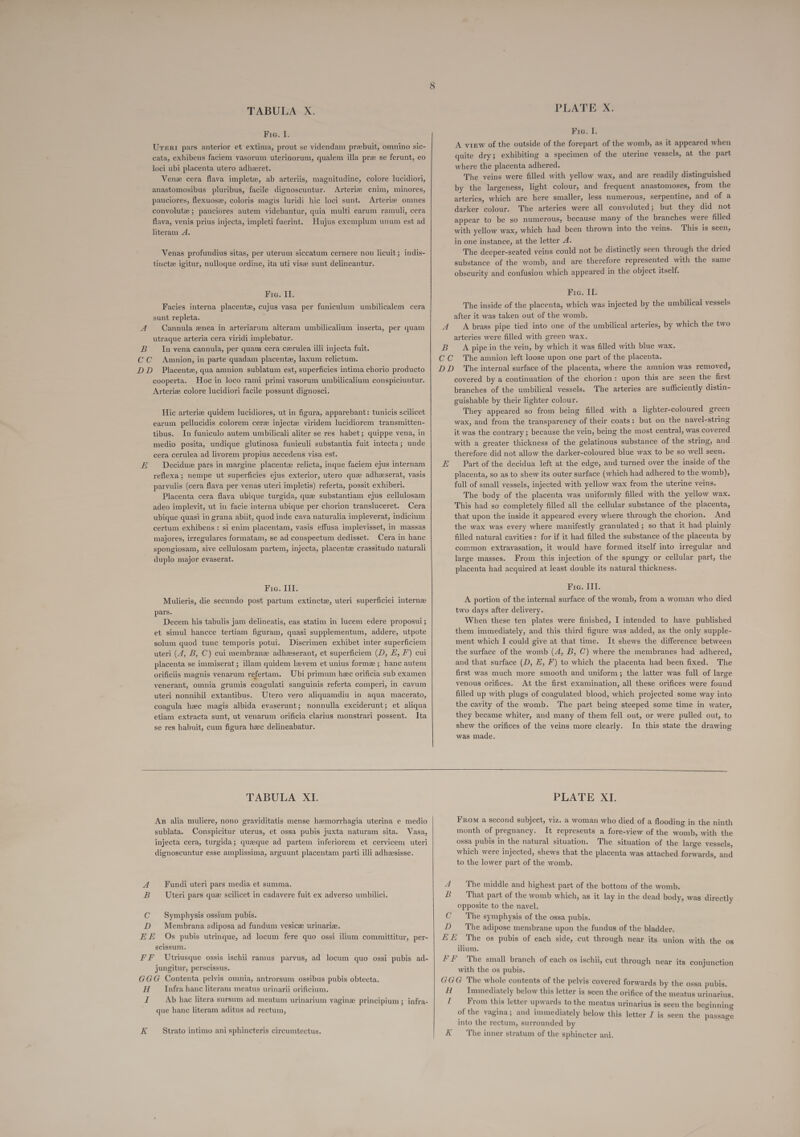 Fia. I. Urertr pars anterior et extima, prout se videndam prebuit, omnino sic- cata, exhibens faciem vasorum uterinorum, qualem illa pre se ferunt, eo loci ubi placenta utero adheret. Venex cera flava implete, ab arteriis, magnitudine, colore lucidiori, anastomosibus pluribus, facile dignoscuntur. Arteriz enim, minores, pauciores, flexuose, coloris magis luridi hic loci sunt. Arterize omnes convoluti ; pauciores autem videbantur, quia multi earum ramuli, cera flava, venis prius injecta, impleti fuerint. Hujus exemplum unum est ad literam A. Venas profundius sitas, per uterum siccatum cernere non licuit; indis- tinct igitur, nulloque ordine, ita uti vise sunt delineantur. Fie. II. Facies interna placentz, cujus vasa per funiculum umbilicalem cera sunt repleta. : A Cannula enea in arteriarum alteram umbilicalium inserta, per quam utraque arteria cera viridi implebatur. B Invena cannula, per quam cera cerulea illi injecta fuit. CC Amnion, in parte quadam placentz, laxum relictum. DD Placente, qua amnion sublatum est, superficies intima chorio producto cooperta. Hoc in loco rami primi vasorum umbilicalium conspiciuntur. Arteriz colore lucidiori facile possunt dignosci. Hic arterize quidem lucidiores, ut in figura, apparebant: tunicis scilicet earum pellucidis colorem cere inject viridem lucidiorem transmitten- tibus. In funiculo autem umbilicali aliter se res habet; quippe vena, in medio posita, undique glutinosa funiculi substantia fuit intecta; unde cera cerulea ad livorem propius accedens visa est. FE Decidue pars in margine placentz relicta, inque faciem ejus internam reflexa ; nempe ut superficies ejus exterior, utero que adhzserat, vasis parvulis (cera flava per venas uteri impletis) referta, possit exhiberi. Placenta cera flava ubique turgida, que substantiam ejus cellulosam adeo implevit, ut in facie interna ubique per chorion transluceret. Cera ubique quasi in grana abiit, quod inde cava naturalia impleverat, indicium certum exhibens: si enim placentam, vasis effusa implevisset, in massas majores, irregulares formatam, se ad conspectum dedisset. Cera in hanc spongiosam, sive cellulosam partem, injecta, placente crassitudo naturali duplo major evaserat. Fie. Ill. Mulieris, die secundo post partum extincte, uteri superficiei interna pars. Decem his tabulis jam delineatis, eas statim in lucem edere proposui; et simul hancce tertiam figuram, quasi supplementum, addere, utpote solum quod tune temporis potui. Discrimen exhibet inter superficiem uteri (4, B, C) cui membrane adheeserant, et superficiem (D, H, /’) cui placenta se immiserat ; illam quidem lavem et unius forme ; hanc autem orificiis magnis venarum refertam. Ubi primum hec orificia sub examen venerant, omnia grumis coagulati sanguinis referta comperi, in cavum uteri nonnihil extantibus. Utero vero aliquamdiu in aqua macerato, coagula hac magis albida evaserunt; nonnulla exciderunt; et aliqua etiam extracta sunt, ut venarum orificia clarius monstrari possent. Ita se res habuit, cum figura hee delineabatur.  TABULA XI. As alia muliere, nono graviditatis mense hemorrhagia uterina e medio sublata. Conspicitur uterus, et ossa pubis juxta naturam sita. Vasa, injecta cera, turgida; quaque ad partem inferiorem et cervicem uteri dignoscuntur esse amplissima, arguunt placentam parti illi adheesisse. A Fundi uteri pars media et summa. B Uteri pars que scilicet in cadavere fuit ex adverso umbilici. C Symphysis ossium pubis. D Membrana adiposa ad fundum vesice urinariz. EE Os pubis utrinque, ad locum fere quo ossi ilium committitur, per- scissum. FF Utriusque ossis ischii ramus parvus, ad locum quo ossi pubis ad- jungitur, perscissus. GGG Contenta pelvis omnia, antrorsum ossibus pubis obtecta. H Infra hance literam meatus urinarii orificium. I Ab hac litera sursum ad meatum urinarium vagine principium; infra- que hance literam aditus ad rectum, K Strato intimo ani sphincteris circumtectus.   PLATE X. Fie. I. A virw of the outside of the forepart of the womb, as it appeared when quite dry; exhibiting a specimen of the uterine vessels, at the part where the placenta adhered. The veins were filled with yellow wax, and are readily distinguished by the largeness, light colour, and frequent anastomoses, from the arteries, which are here smaller, less numerous, serpentine, and of a darker colour. The arteries were all convoluted; but they did not appear to be so numerous, because many of the branches were filled with yellow wax, which had been thrown into the veins. This is seen, in one instance, at the letter A. The deeper-seated veins could not be distinctly seen through the dried substance of the womb, and are therefore represented with the same obscurity and confusion which appeared in the object itself. Brey 10 The inside of the placenta, which was injected by the umbilical vessels after it was taken out of the womb. A A brass pipe tied into one of the umbilical arteries, by which the two arteries were filled with green wax. BA pipe in the vein, by which it was filled with blue wax. CC The amnion left loose upon one part of the placenta. DD The internal surface of the placenta, where the amnion was removed, covered by a continuation of the chorion: upon this are seen the first branches of the umbilical vessels. The arteries are sufficiently distin- guishable by their lighter colour. They appeared so from being filled with a lighter-coloured green wax, and from the transparency of their coats: but on the navel-string it was the contrary ; because the vein, being the most central, was covered with a greater thickness of the gelatinous substance of the string, and therefore did not allow the darker-coloured blue wax to be so well seen. E Part of the decidua left at the edge, and turned over the inside of the placenta, so as to shew its outer surface (which had adhered to the womb), full of small vessels, injected with yellow wax from the uterine veins. The body of the placenta was uniformly filled with the yellow wax. This had so completely filled all the cellular substance of the placenta, that upon the inside it appeared every where through the chorion. And the wax was every where manifestly granulated; so that it had plainly filled natural cavities: for if it had filled the substance of the placenta by common extravasation, it would have formed itself into irregular and large masses. From this injection of the spungy or cellular part, the placenta had acquired at least double its natural thickness. Fie. ITI. A portion of the internal surface of the womb, from a woman who died two days after delivery. When these ten plates were finished, I intended to have published them immediately, and this third figure was added, as the only supple- ment which I could give at that time. It shews the difference between the surface of the womb (A, B, C) where the membranes had adhered, and that surface (D, E, F) to which the placenta had been fixed. The first was much more smooth and uniform; the latter was full of large venous orifices. At the first examination, all these orifices were found filled up with plugs of coagulated blood, which projected some way into the cavity of the womb. The part being steeped some time in water, they became whiter, and many of them fell out, or were pulled out, to shew the orifices of the veins more clearly. In this state the drawing was made.  PLATE XI. From a second subject, viz. a woman who died of a flooding in the ninth month of pregnancy. It represents a fore-view of the womb, with the ossa pubis in the natural situation. The situation of the large vessels, which were injected, shews that the placenta was attached forwards, and to the lower part of the womb. A The middle and highest part of the bottom of the womb. B That part of the womb which, as it lay in the dead body, was directly opposite to the navel. C ‘The symphysis of the ossa pubis. D The adipose membrane upon the fundus of the bladder. LE The os pubis of each side, cut through near its union with the os ilium. FF The small branch of each os ischii, cut through ne with the os pubis. GGG The whole contents of the pelvis covered forwards by the ossa pubis. H Immediately below this letter is seen the orifice of the meatus urinarius. if From this letter upwards to the meatus urinarius is seen the beginning of the vagina; and immediately below this letter J is seen the passage into the rectum, surrounded by - K The inner stratum of the sphincter ani. ar its conjunction