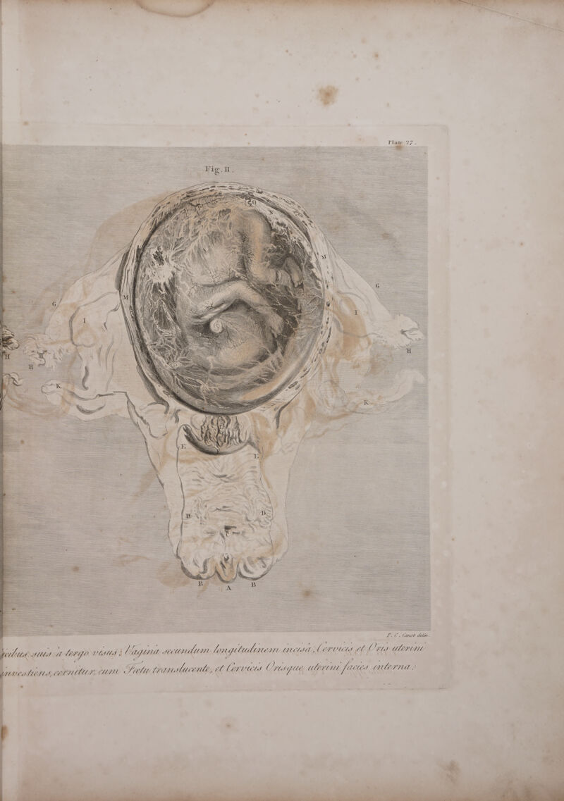                                                                                                                                                                                                                                                                                                                                                                                                                                                                                                                                                                                                                                                                                                                                                                                                                                                                                                                                                                                                                                                                                                                                                                                  ot AU 1 SS                                                                                                                                                                                                                                                                                                                                                                                                                                                                                                                                                                                                                                                                                                                                                                                                                                                                                                                                                                                                                                                                                                                                                                                                                                                                                                                                                                                                                                                    L.C. Canot deliv. ) Ut a WA : a argo V Mtl aA J Cag Heenan longitudinen Weld, Cervus cl C Vd e7 Meee : ; ? wautun, CUM Seat primeslucenle, el CEVUMS Ons Ye UIE ne [Qed MINE |   ATEN, Cl.  