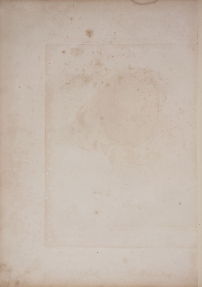    ia ~ ewe Sanne wae art *