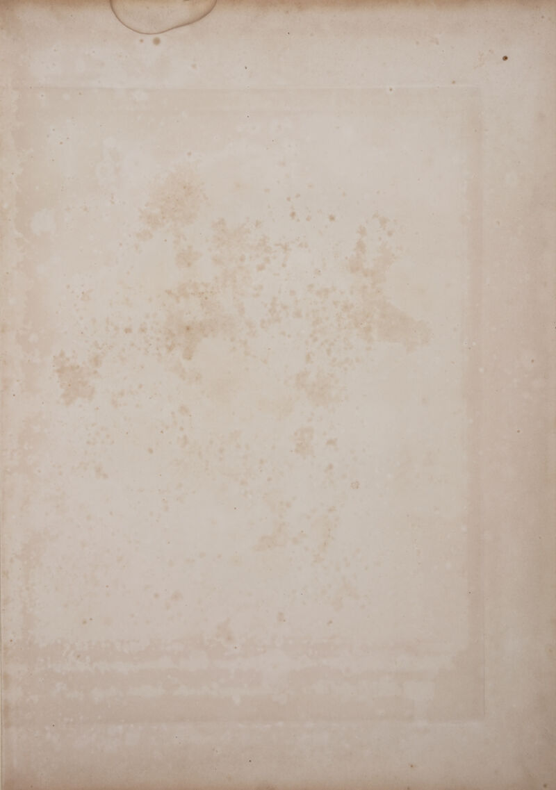 ee >. r 4 i bea al y anil 