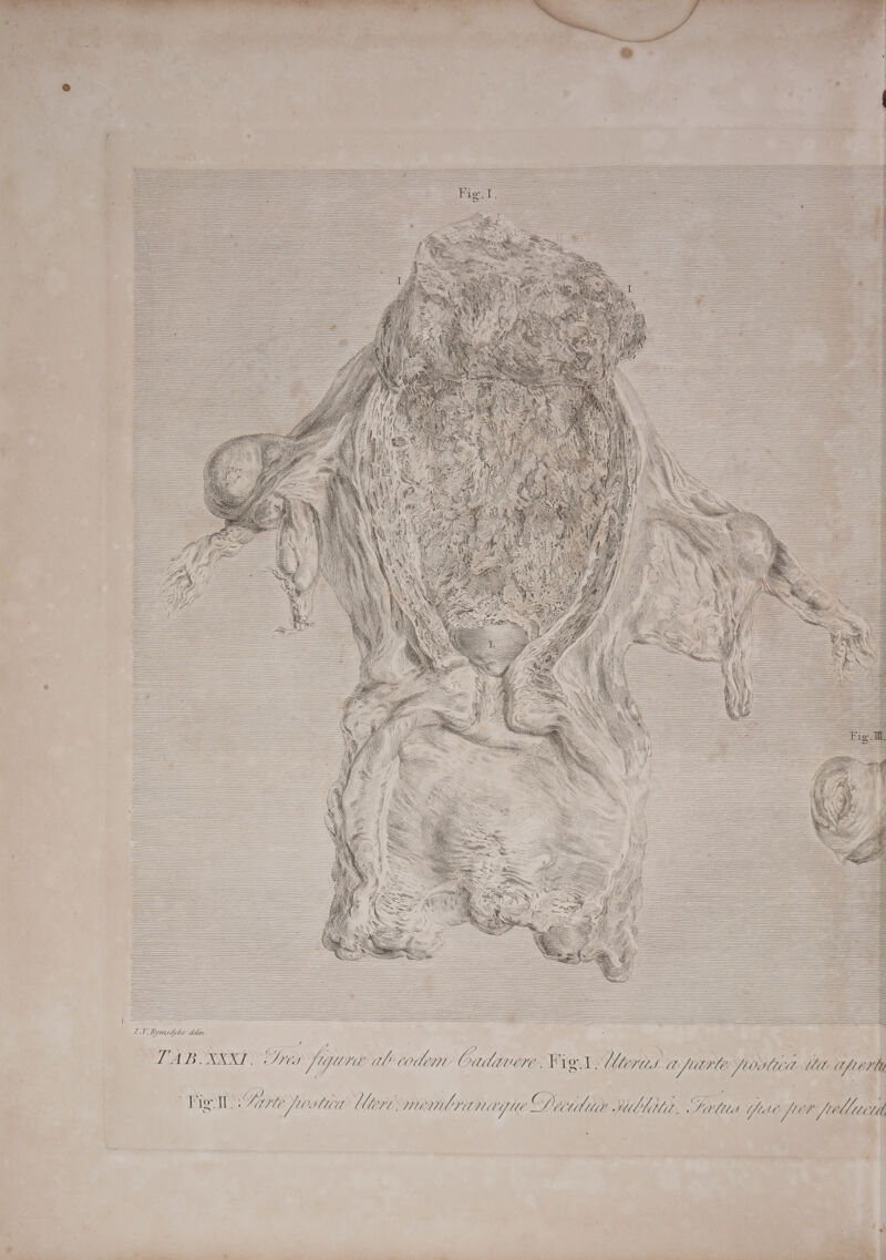                                                                                                                                                                                                                                                                                                                                                                                                                                                                                                                                                                                                                                                                                                                                                                                                                                                                                                = Slee                                                                                                                                                                                                                                             — me cI i —— == J : = = ——= = = = = = = = —==S = == === = = — = a === == = { = LV Rymsdyhe dear, é a a | ‘ ea Par * ts ste LAB OSKXT NO OY Jira al codem Oudavere. Ki oD Maris LParvle foHtea it apeert ie Date | Sarle pro Min Mere, mombrinayie Diitiur Sillitlit, Silt one frer felliccta a ‘ . —*; 