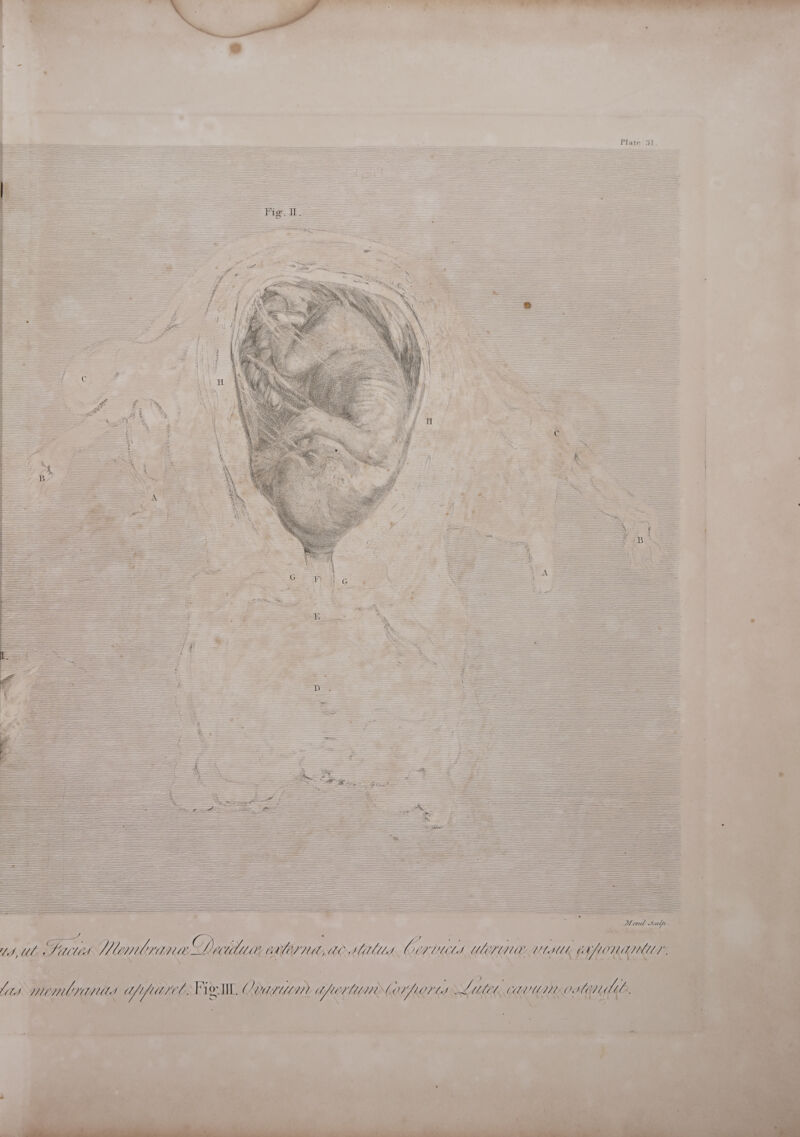 wm vee ee pliant eet Gigetanines de Se ee