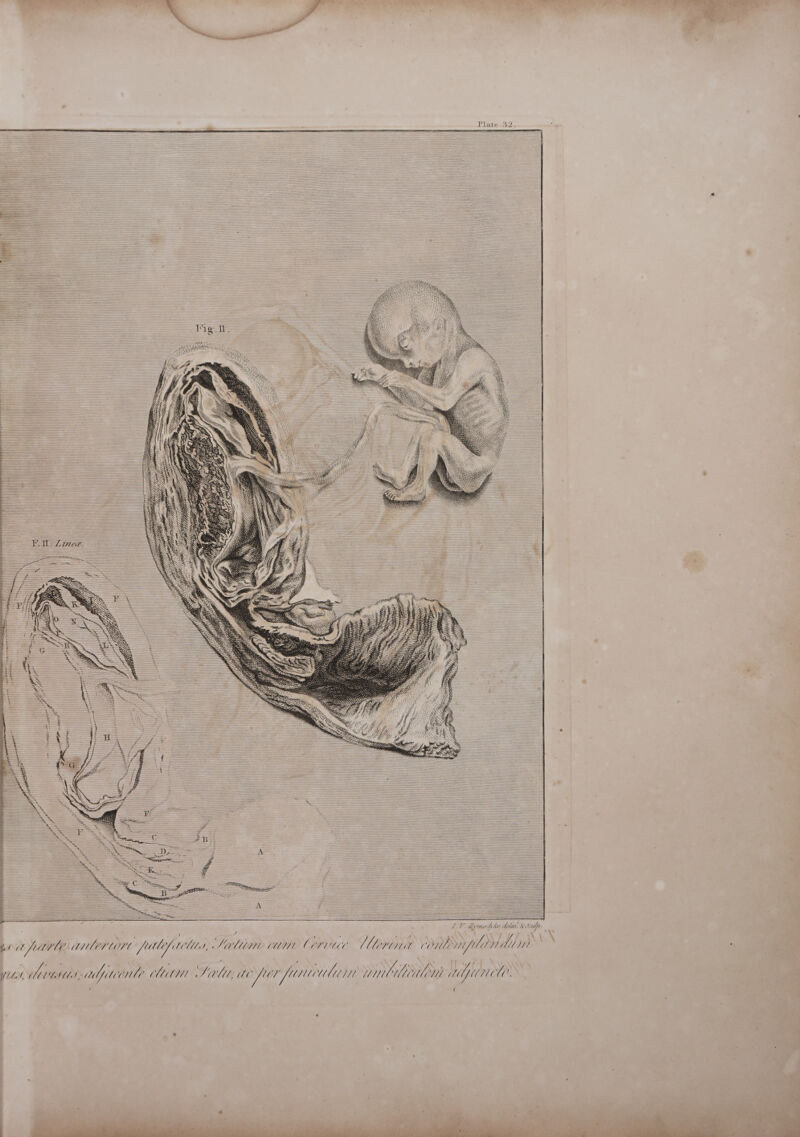                                                                                                                                                                                                                                                                                                                                                                                                                                                                                                                                                                                                                                                                                                                                                                                                                                                                                                                                                                                                                                                                                                                                                                                                                                                                                                                                                                                                     a > = > = 4 4 ; Th 7 Sead he delan; 8 Seulpr : 3 | : : 2 ow x ; rind NS AQ AES \\\ AN Ly, ‘AY X ; 7 MfMle ANLEY L074 fMlifitelil L SOAUML UMD CEUUE Merona One mf LMM)  } 1b, ets, upteent? MAM Sed, ae fey fun Wliin wuntileatem Haylin Myre Hae ‘ ; Mi ie 4 = : : 