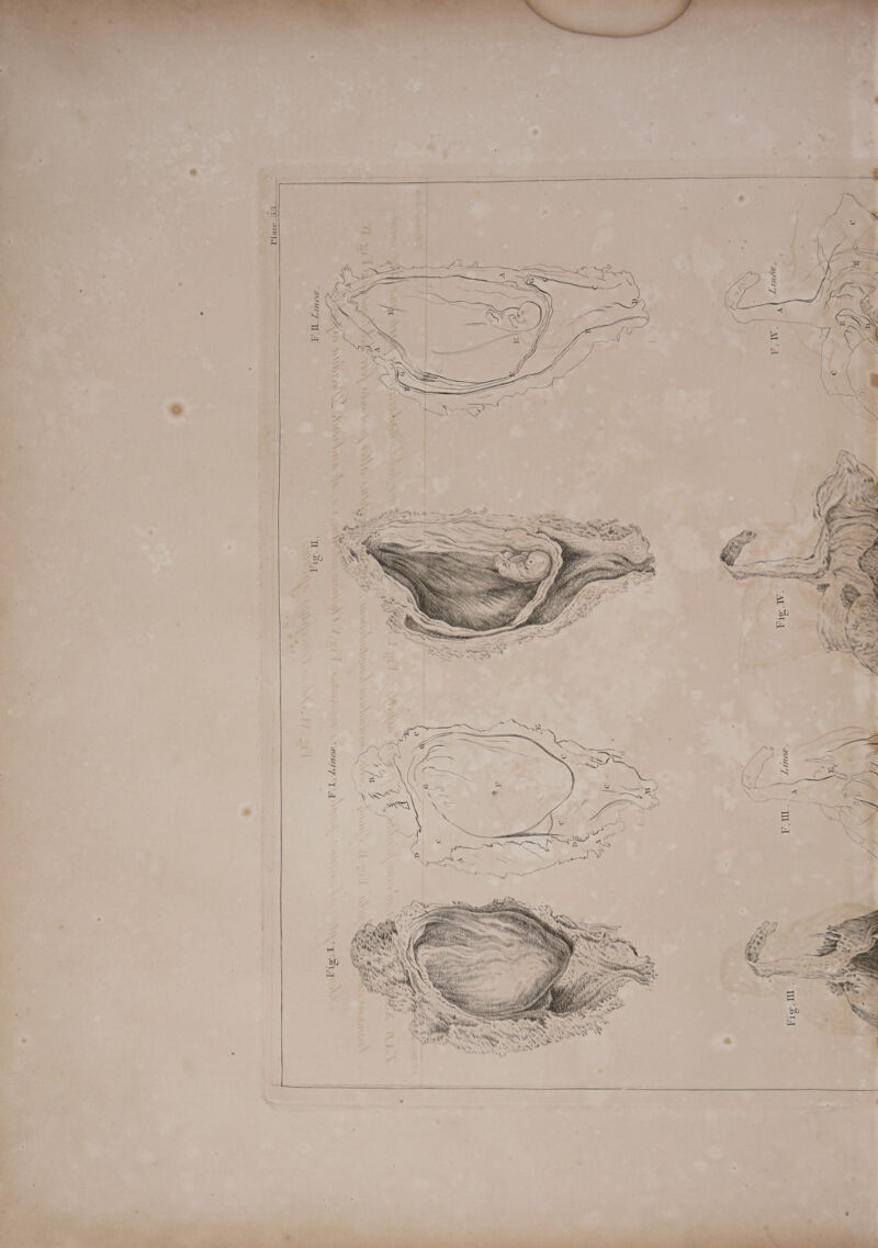    SA I.   I   SNAA oY   - ~ ih   <aeanintone    Si E)  a ;     Se Ay \ wa a . VES   NN   EW. Lenea. 4 ee x  AWANSA \   ‘ Sa AS 7 ‘ &amp;>    SY b> 5 ENTS :   \  i Ay Yu hag NR HN Syne * ' pa ‘i f x \  : oa i , - \ Wi yi Br.   PRR AY  TH ‘ SH, , NINN * ‘i    