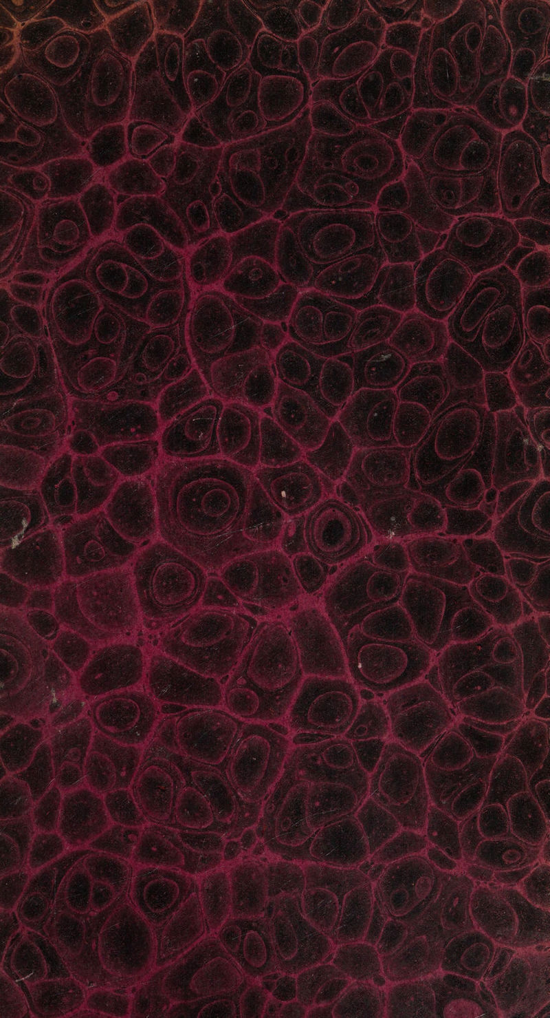 No text description is available for this image