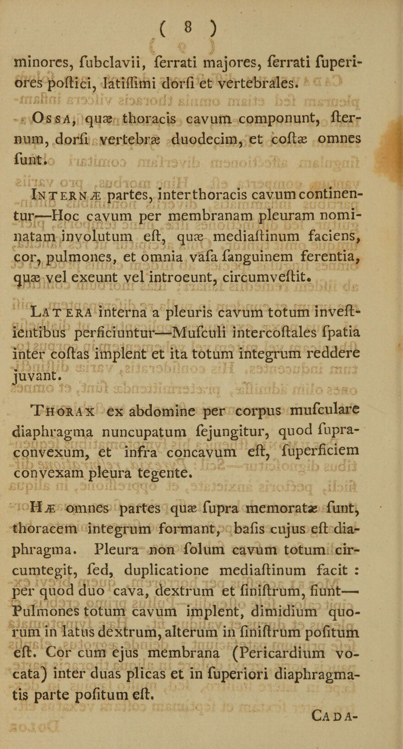 uti minores, f'abclavii, Ted majores, ferrati op ores Ros, d Tirifimi dérfi e et PMELCBHEISL M | vies qua: dci cavum. udin, X num, dorfi; vertebra mlaosecishg et cofte omnes fusitio ! | INTERNA partes, interthoracis cavum continen- tur—Hoc cavum per. membranam pleuram nomi- | natam involutum eft, qua- mediaftinum faciens, PDA pulmones et omnia. vafa pou ferentia, As iii e ua ERA interna c m cavum totum inveft- ientibus perficiuntur——Mufculi intercoftales fpatia inter coftas. implent e et ita totum Hitegr uif reddere juvant. 3 í | à GARI ARRA THORAX ex abdaniifie per corpus pnimGrmláife diaphragma. nuncupatum fejungitur, quod fupra- convexum, et infra concavum. eit a pet ciem conyexam pleura t Peu Men dd í oH AE omnes partés quz fupra nemoratz.: fimt; thoracem integrum formant, bafis cujus eft-dia- phragma. Pleura- non folum cavum totum: cir- cumtegit, fed, duplicatione mediaftinum facit : per quod duo ' 'cava, dextrum et finiftrum, fiunt — Pulmones totum cavum implent, albido quo- rami in atus dextrum, alterum in finiftrum pofitum eft 'Cer cum ejus membrana (Pericardium vo- cata) inter duas plicas. et in fuperiori diaphragma- tis parte pofitum ett. | CAD A-