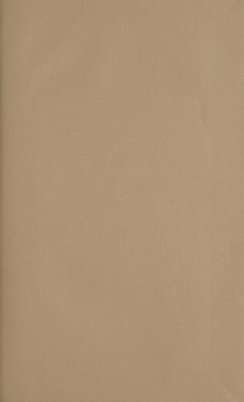 Bias }, ay i, Hy feed Pas 