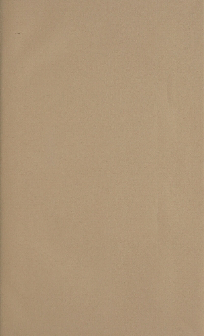 ey) oy rane a A “ty sept Sin