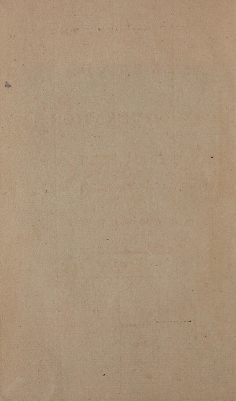 r aS y Nel Se ea, 2: a Ea Gya= ay