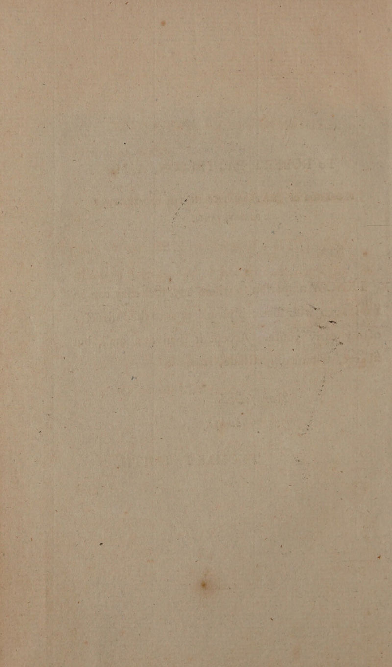 > ae emt TRE tee ¢ a es