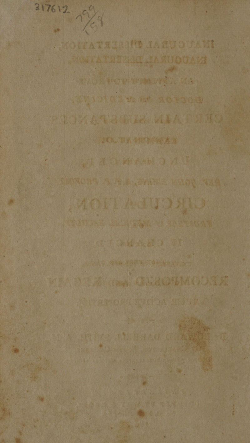 * wh ean ” ; ; rie eo Re ee Fisetica x: Noe shad ny PRINT Wo’ SN fe my es a Puan na et. i ba i » Mf i i ! Pe pee Ape t, fs Ih y ‘ y} ; : , 4 iad ae