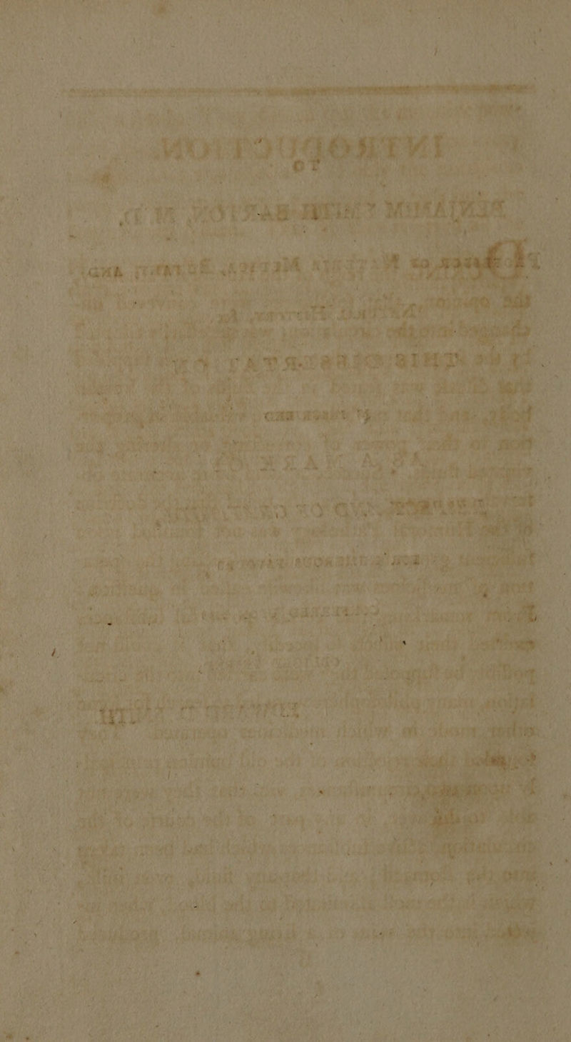 ‘ Mo ey » ae ar med Meade iepilis talk punales 2 “7