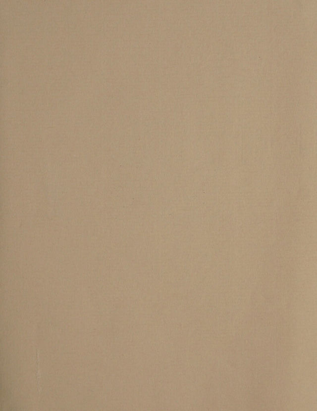 digitised image 3