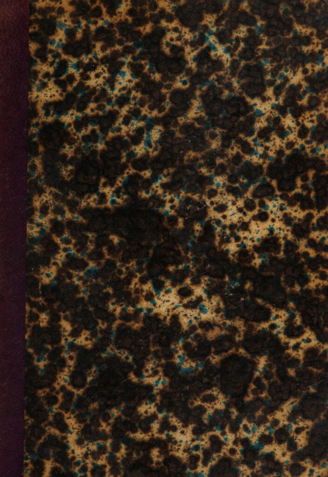 digitised image 1