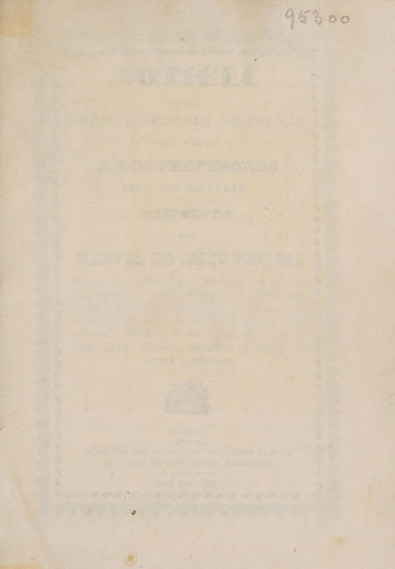         C ha _ ] q, : ñ Y y. Die 4 rl: a a ES É     