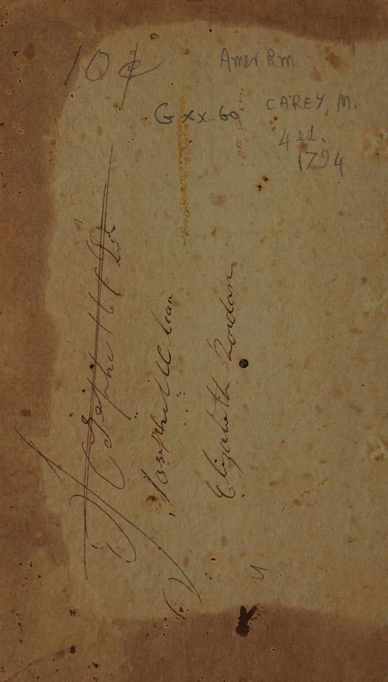 No text description is available for this image