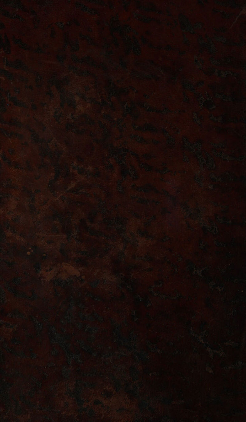 No text description is available for this image