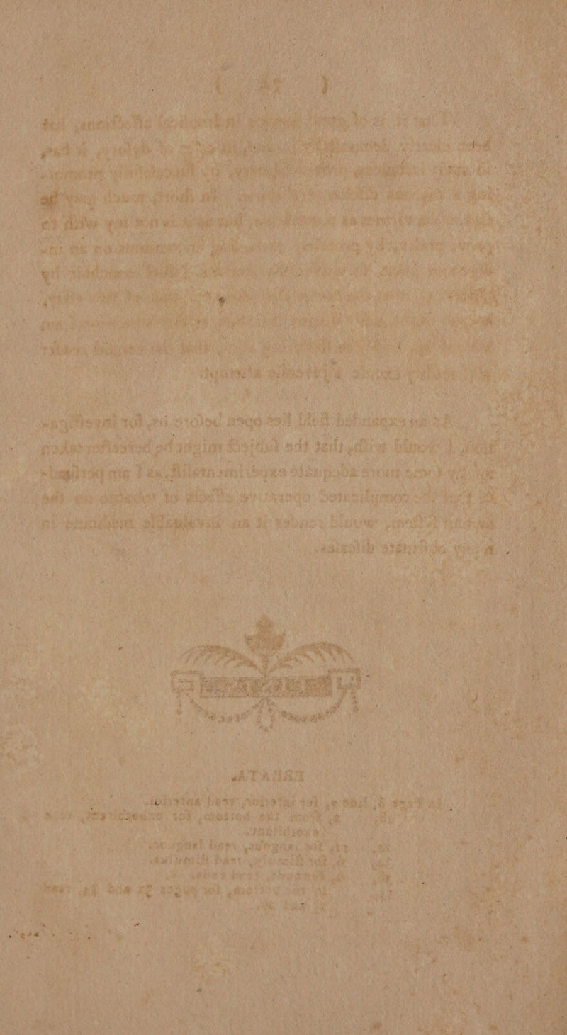 > ite Jedisoliy 2388 de oy ; i Bh ne é wi