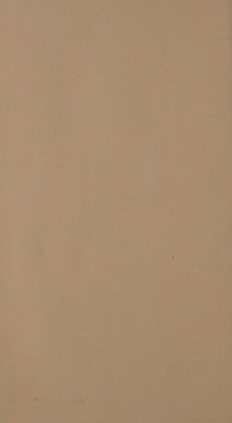 ae era Tis i * weed Gate PRR DN vee” Miser ne) ot 7a Le) boa + hi a Aa ee ay hese “al Fs 8 Pye Pa As) y, a. 1 MRS A de: 3 Fodie My Ss} > ‘a ibe ‘ek rye ears i aed ie ivy SP een pias as ee ae 4, re a F . i r : ear <> +4 ais. 4 : iol Mie, jhe a aoa Fe eae? A Eo Ts Cage ga,8 Les PP te ene ae 9k Pr aa ie 7 , & Pe San, BR yer / CANT Ratan es ha . a ib Weal ths Sl a wih vy ae gaa TAs Sah, ponkan) atin ar DS etd 6 On AER ee a Nd APSE a laced, i f ’ z } ‘ + ‘ 3 ‘ , i@ '« cd