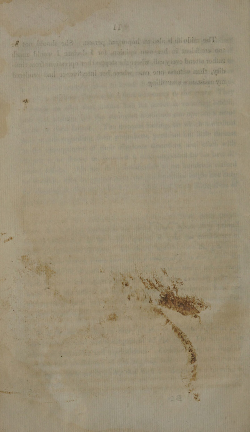 a) Sa r enrol -* ° - 13 ; ~ ad ” . sn Dement i caer = ~ cue - a) J ~ e ve — ‘ ‘ ~~  ~™