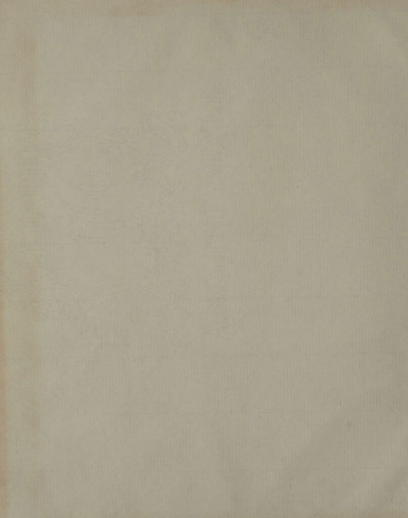 A > the the, = Sy oe shee Fate Se Ps aT. * ae ee  a