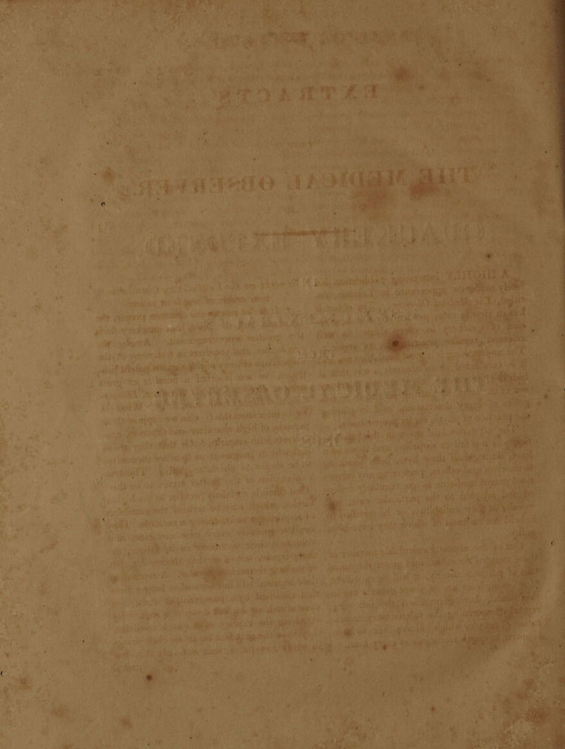   (ued          ‘e ® ey PL + ms at vig! ii a Fat Set Se  i : an waht ve ; ra. nM pee ‘eps co : h be 1 uly abs ‘ i A eae ; iP en Ke * ; 4 ht et Bree eh RUE NC ree Vitirel } ere Se. ee     5 as             ‘ ss (a rd q \ ad + » fed 4 > es ,; 4 Ys ¥ : el ye oan py , 4 is Y ae 5° 4 a4 Rte a aro 7 f ; ms  ] 3 ¥) ay Ww nw ; ta ta \ = LALA Jae 3 ns ( ; a ie 2 7 PI aS m3) } t i     1: 4s *  Sf IN SB f apastya:- Oe pina